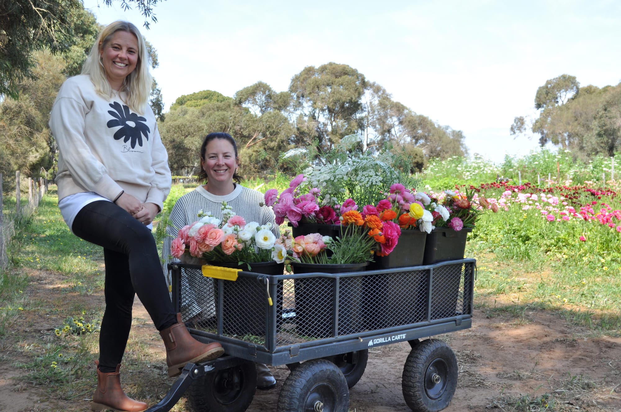Sisters making flowers bloom at Langhorne Creek