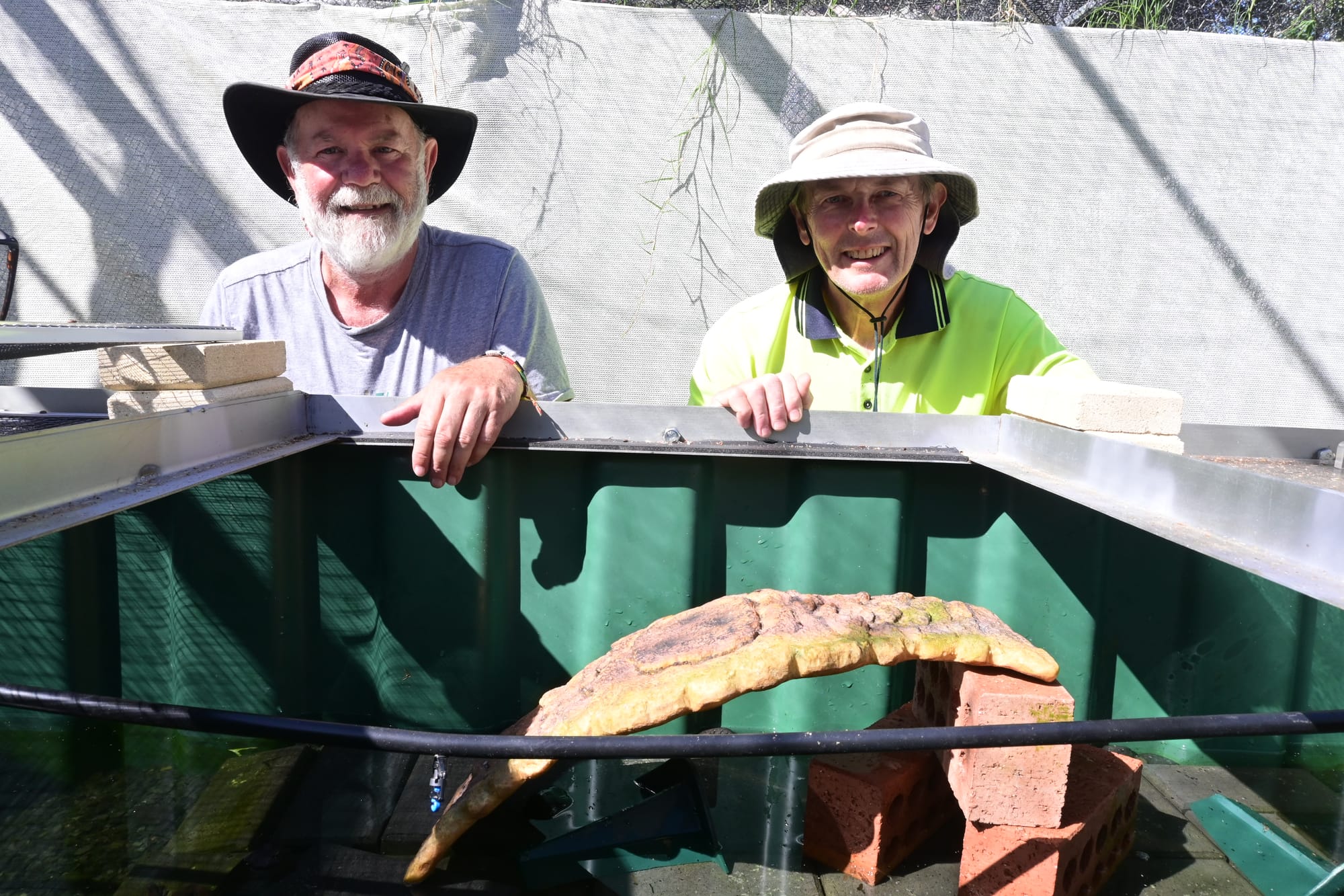 Hopes that frogs will breed