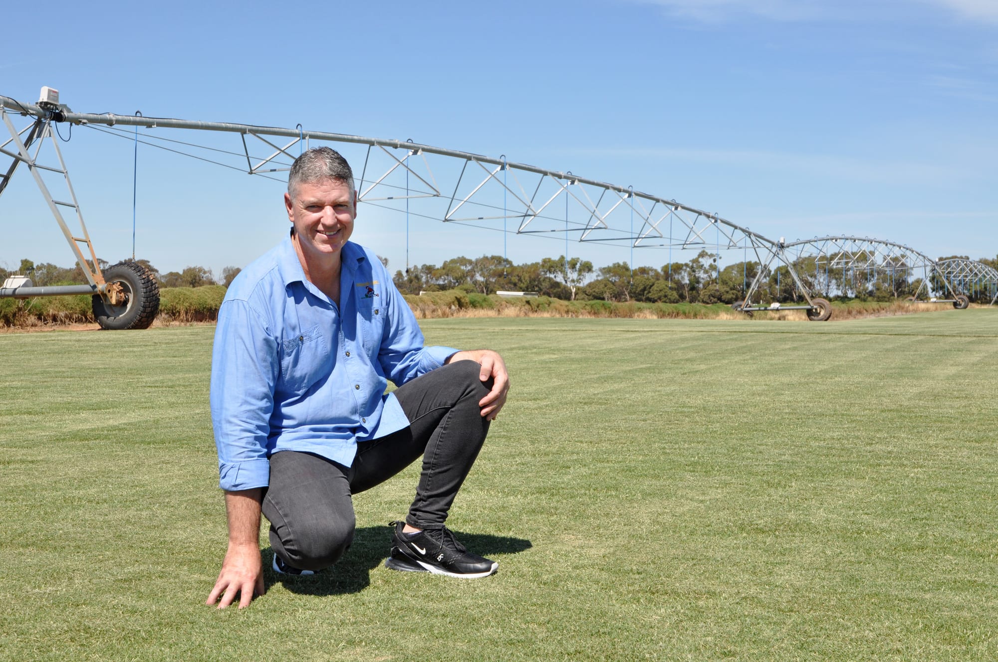 Turf farm has the region covered