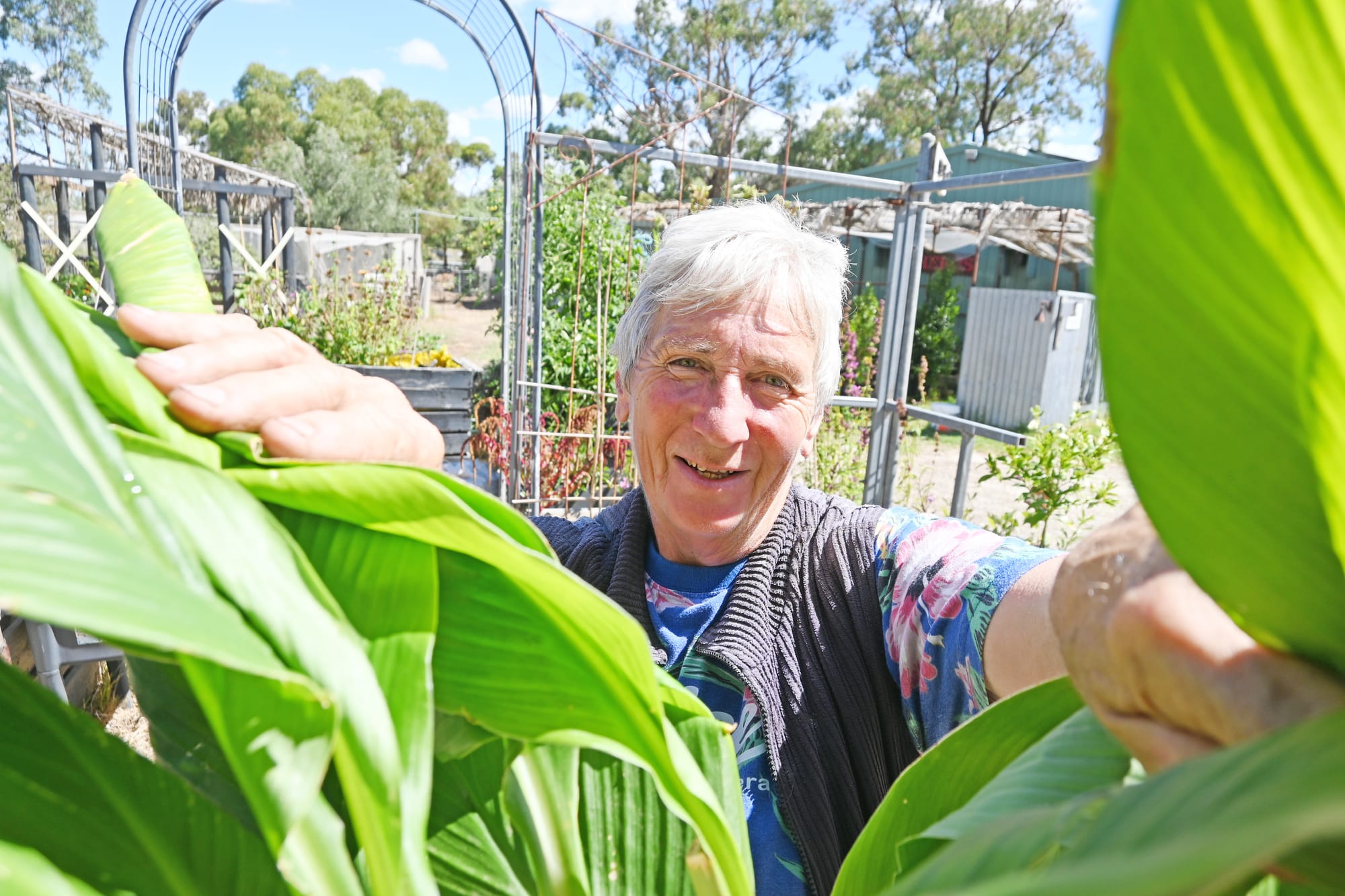 SPICE OF LIFE: Tips for your home garden