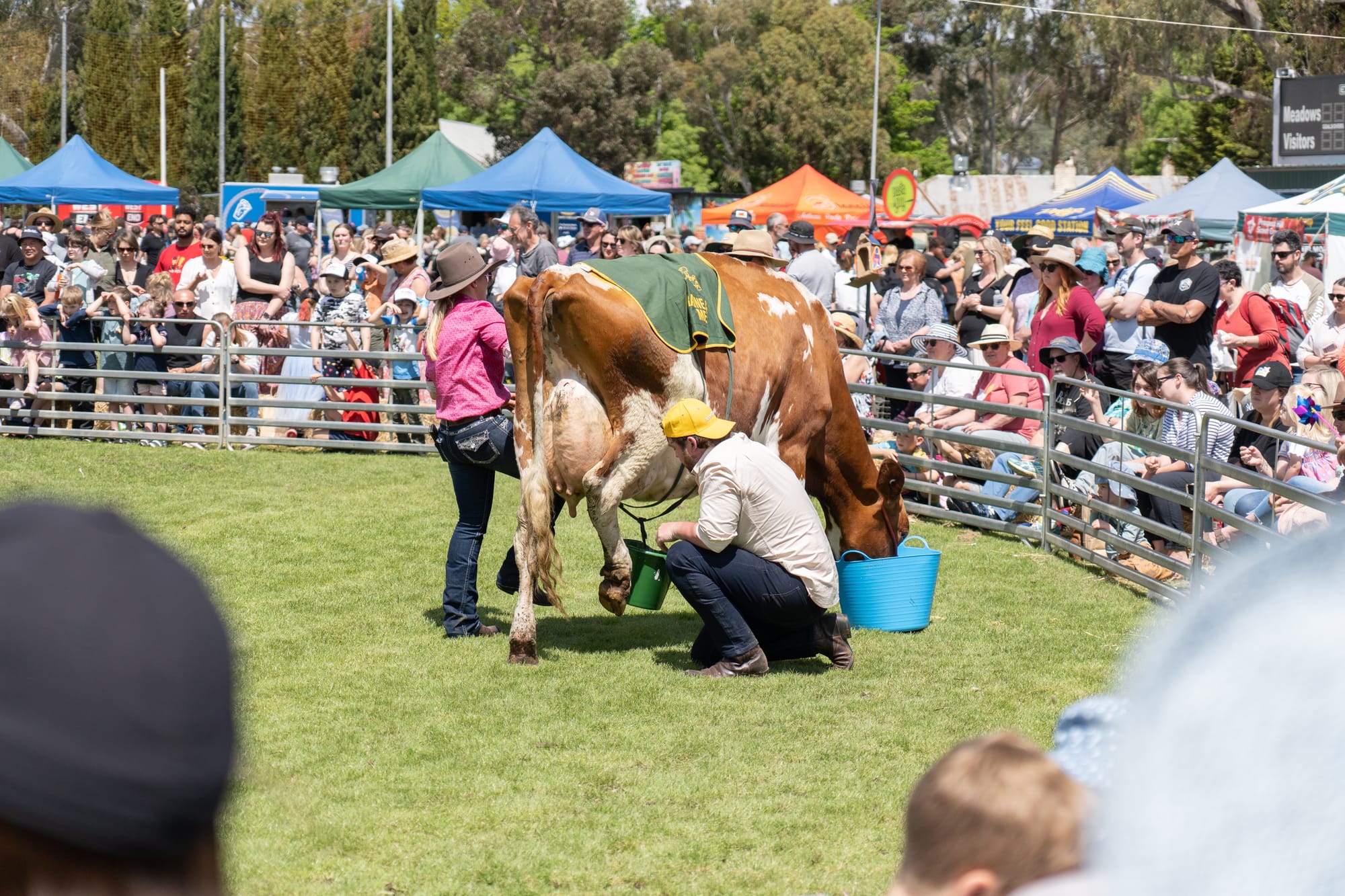 UDDER SUCCESS: Meadows Fair sees 10,000 crowd