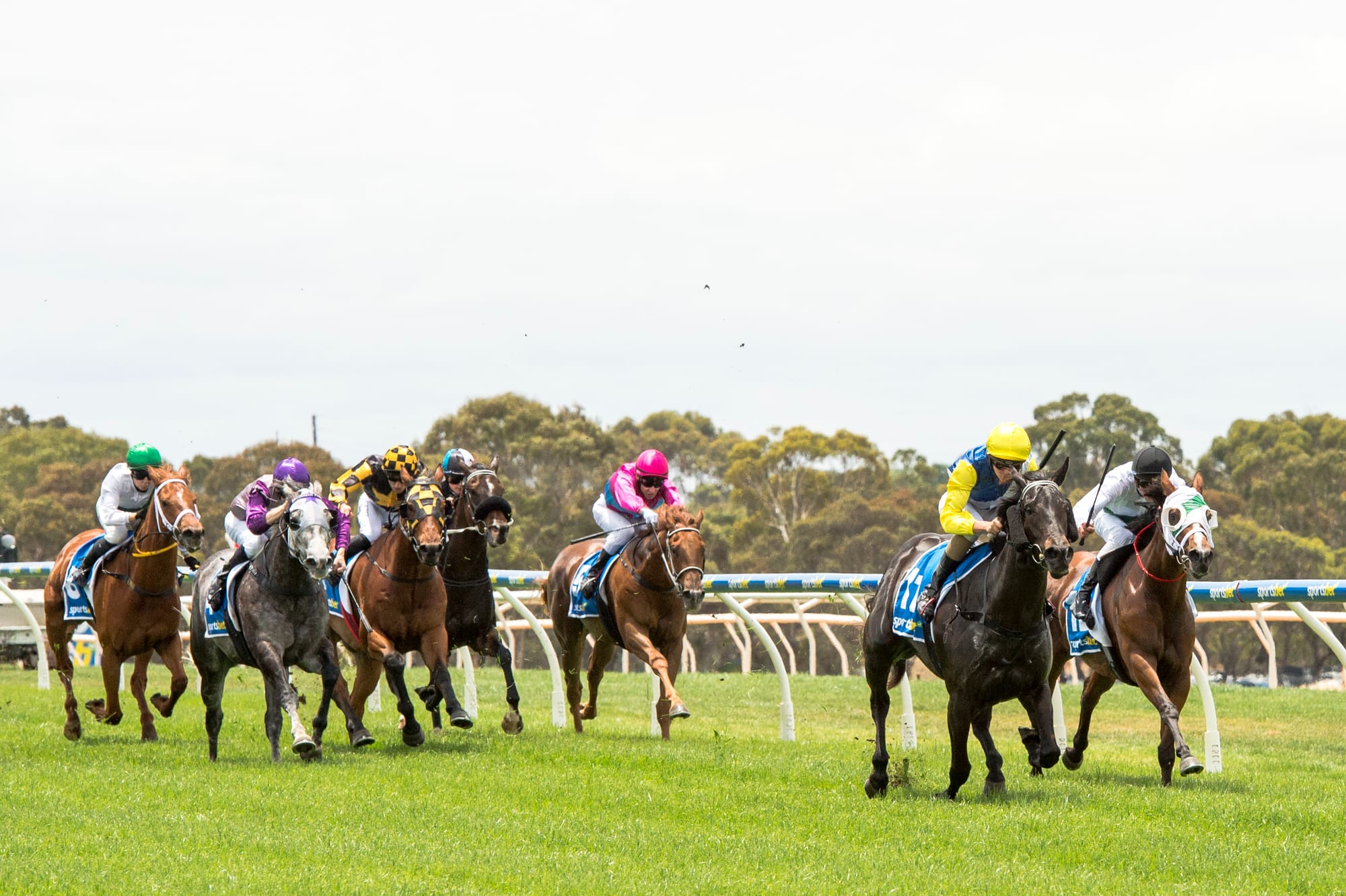 David Jolly wins solid silver Vignerons Cup