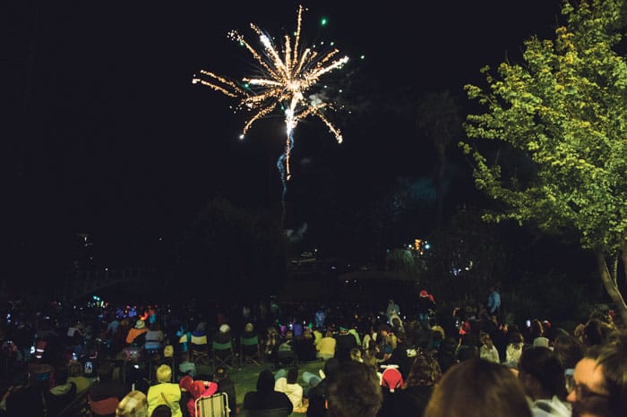 LIGHT UP THE NIGHT: Christmas spirit comes alive in Strathalbyn
