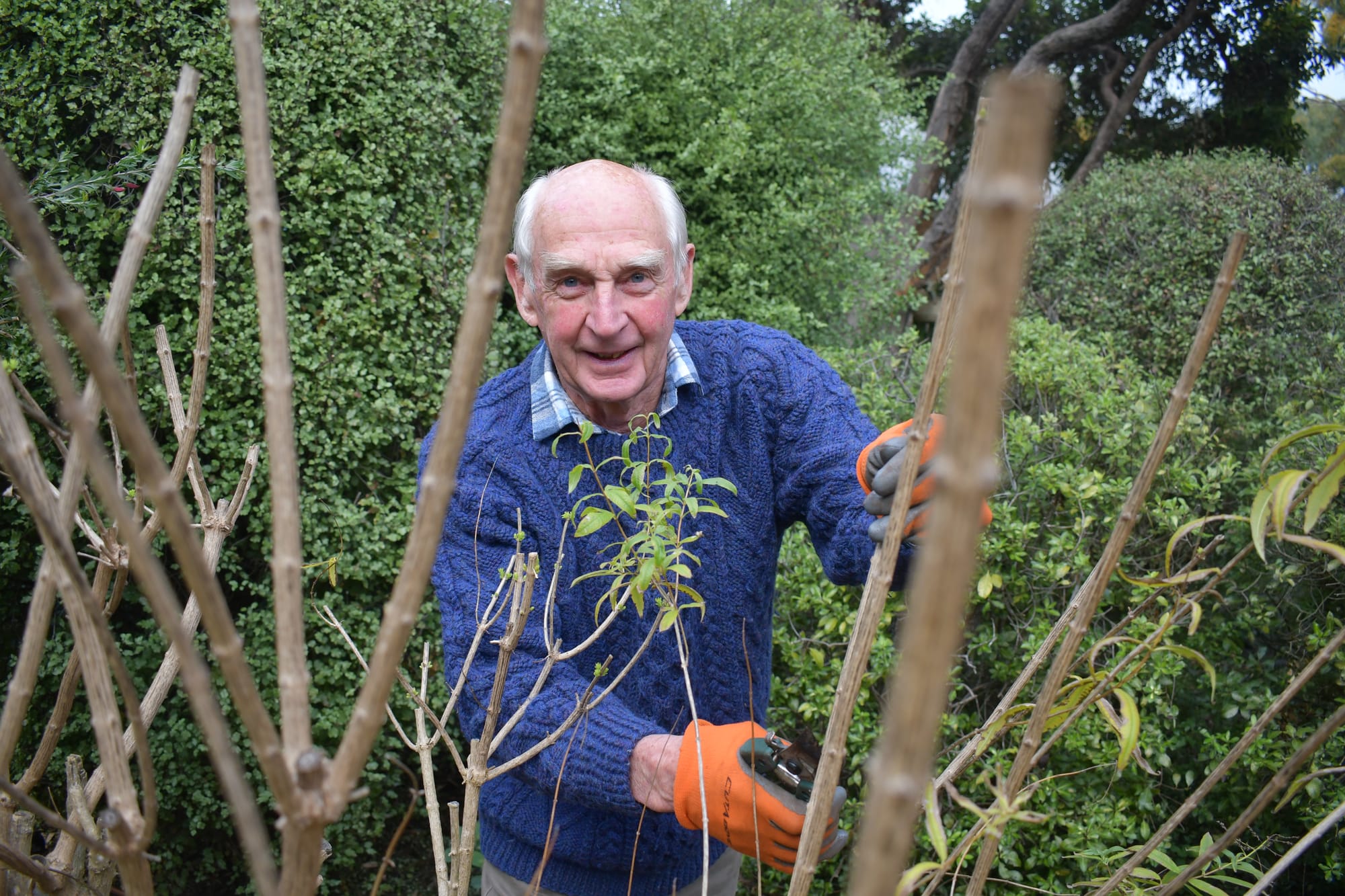 BRANCHING OUT: New Strathalbyn Garden Club President ready to grow