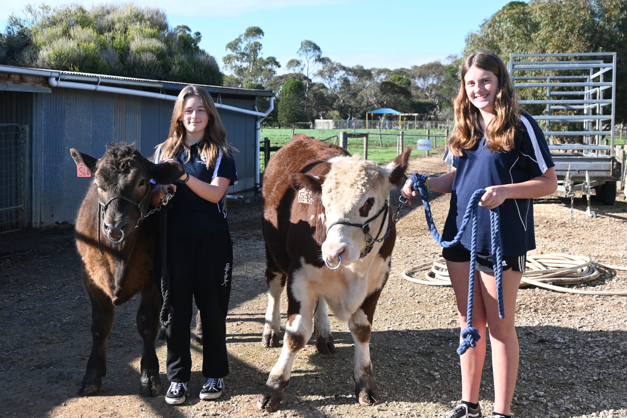 Eastern Fleurieu School students win big with a-moo-zing video