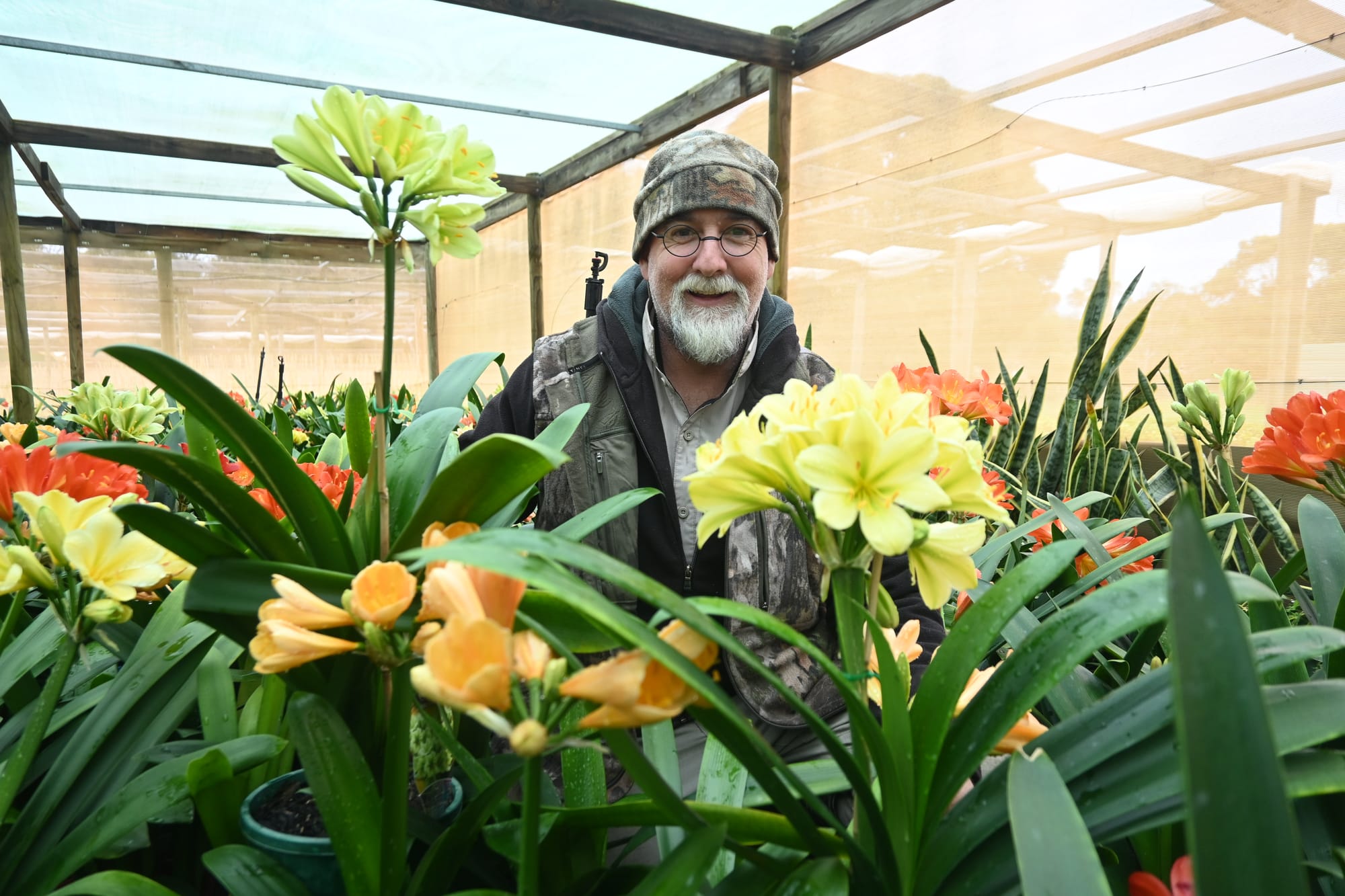 CLIVIA CLASS OF ’17: Bloomin’ beautiful Strathalbyn nursery