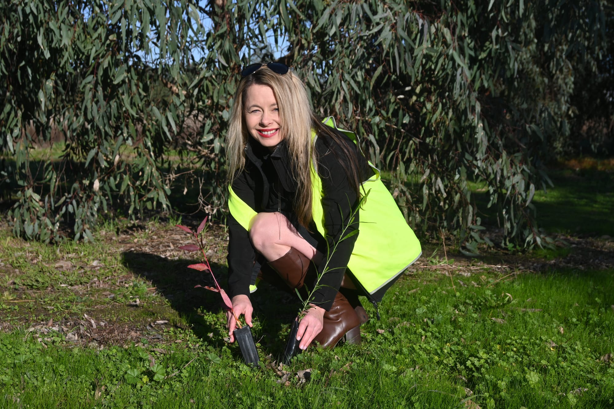 BARKING UP THE RIGHT TREE: Community called on for planting event