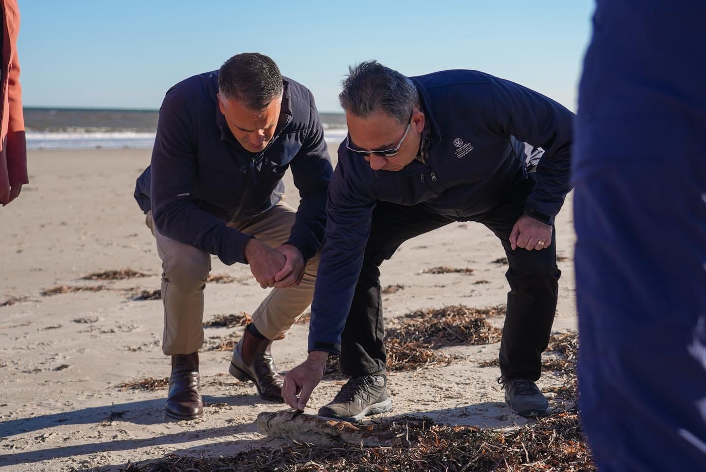 Funding for algal bloom at last