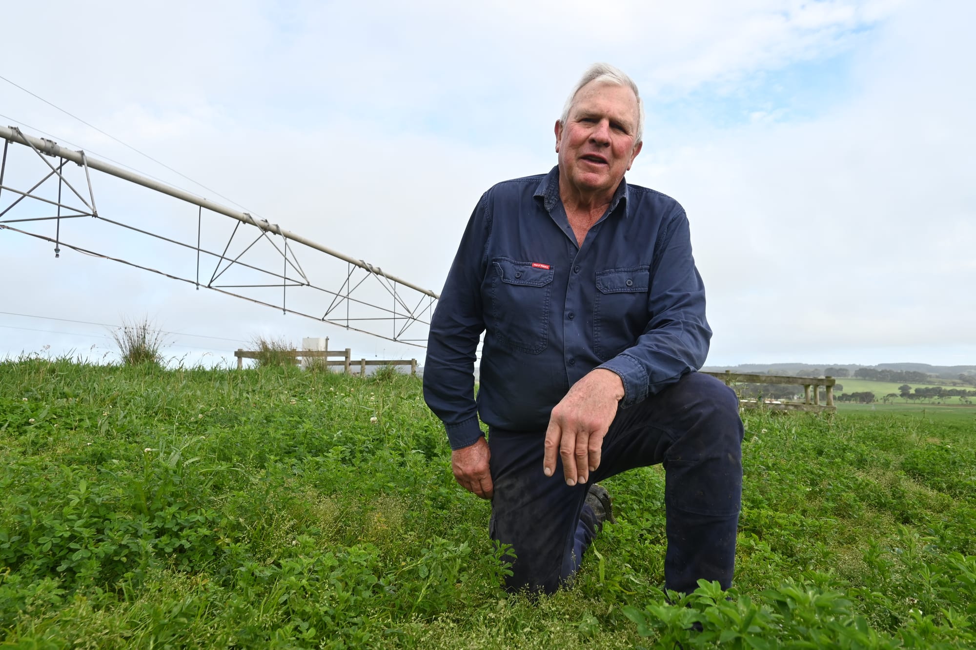 GREEN DROUGHT: Milk production drops during lack of decent rainfall…