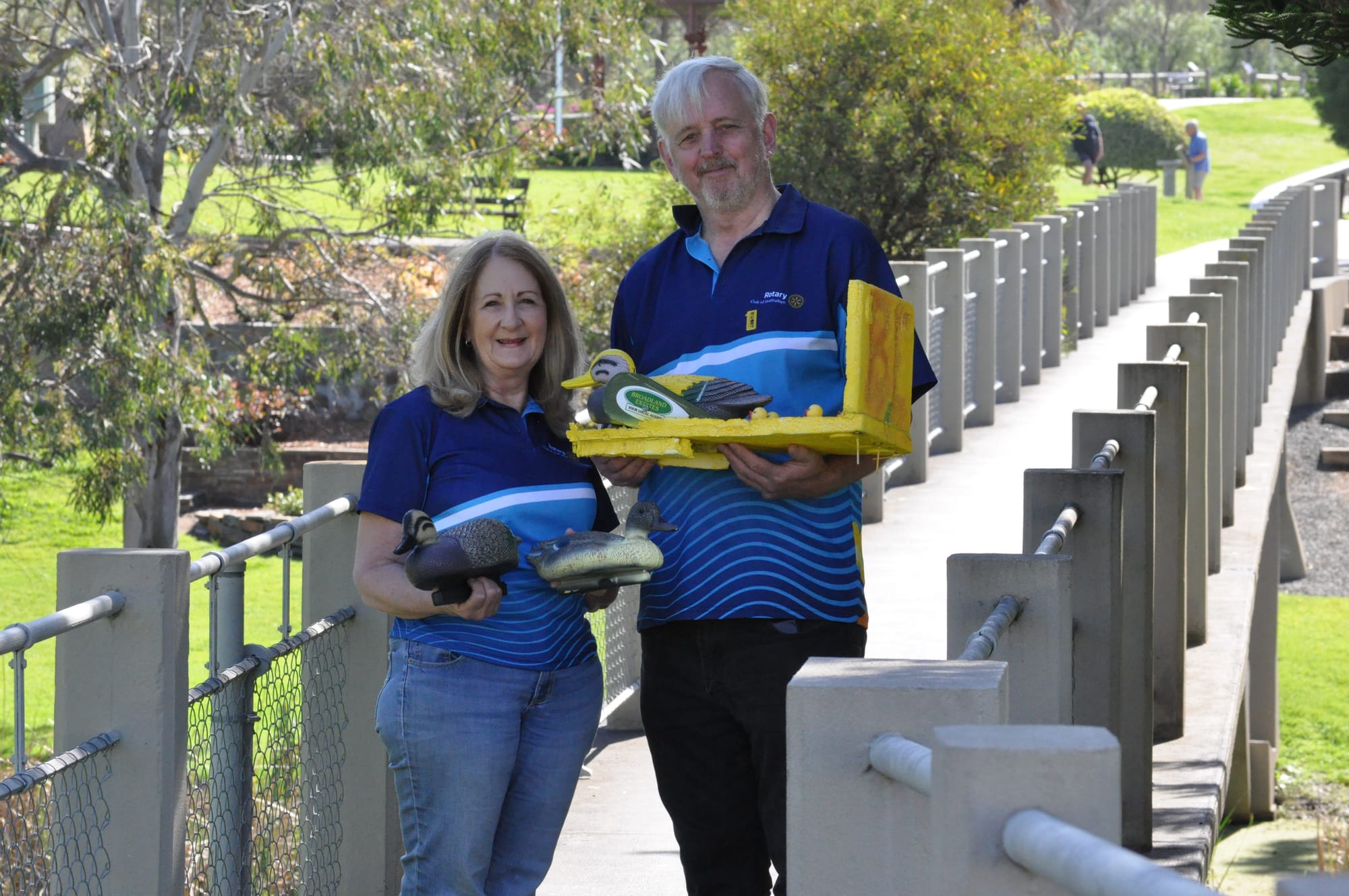 Calling all corporate ducks for November race