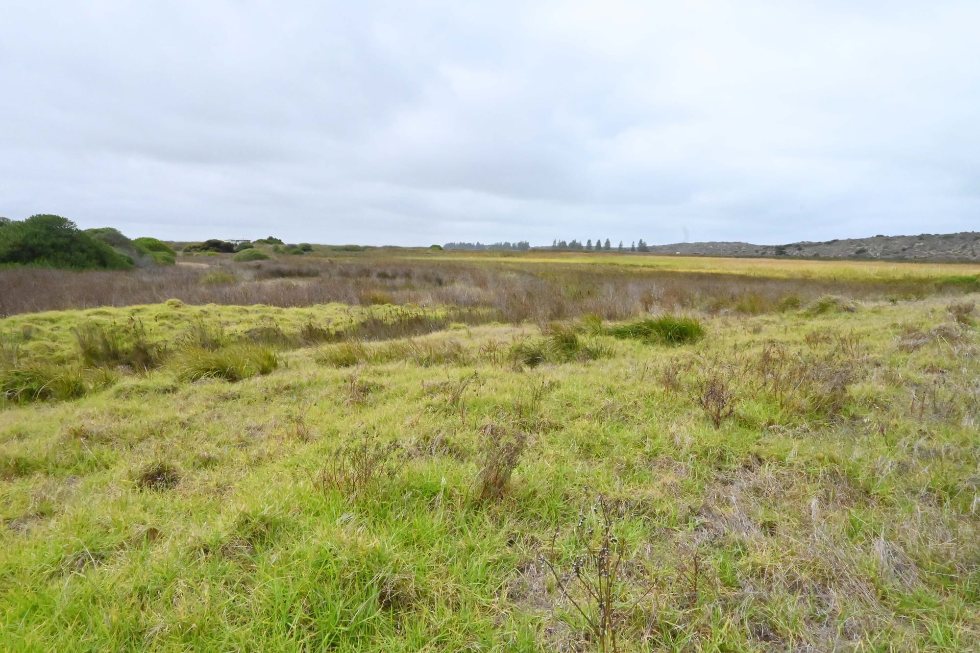 Goolwa Rowing Club petitions Alexandrina Council for growth assistance