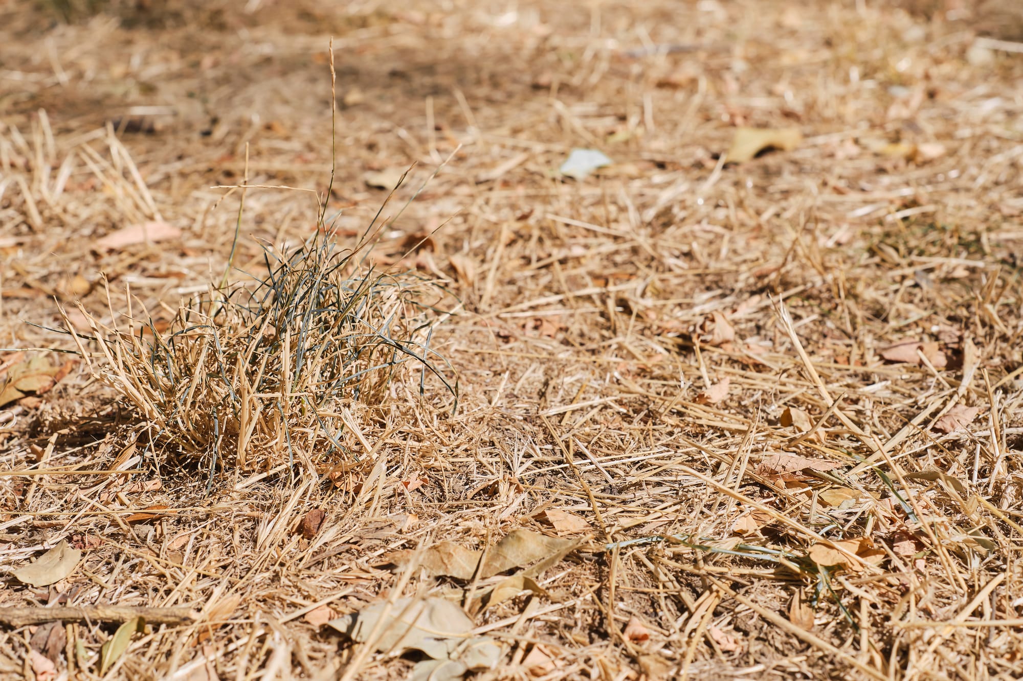 Be prepared as fire danger season approaches