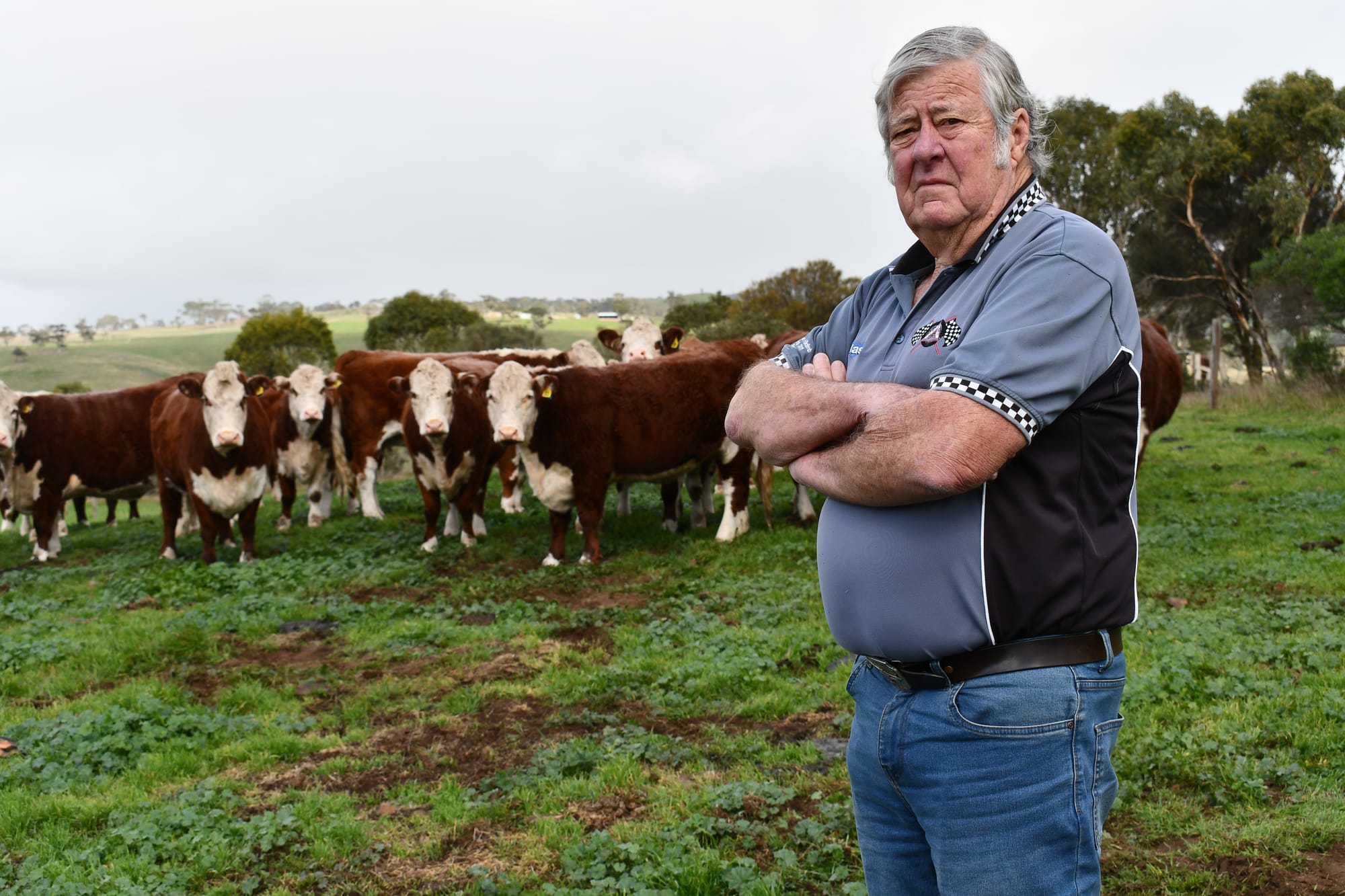 HIGH-STEAKS: Local farmers alarmed by Foot and Mouth Disease threat
