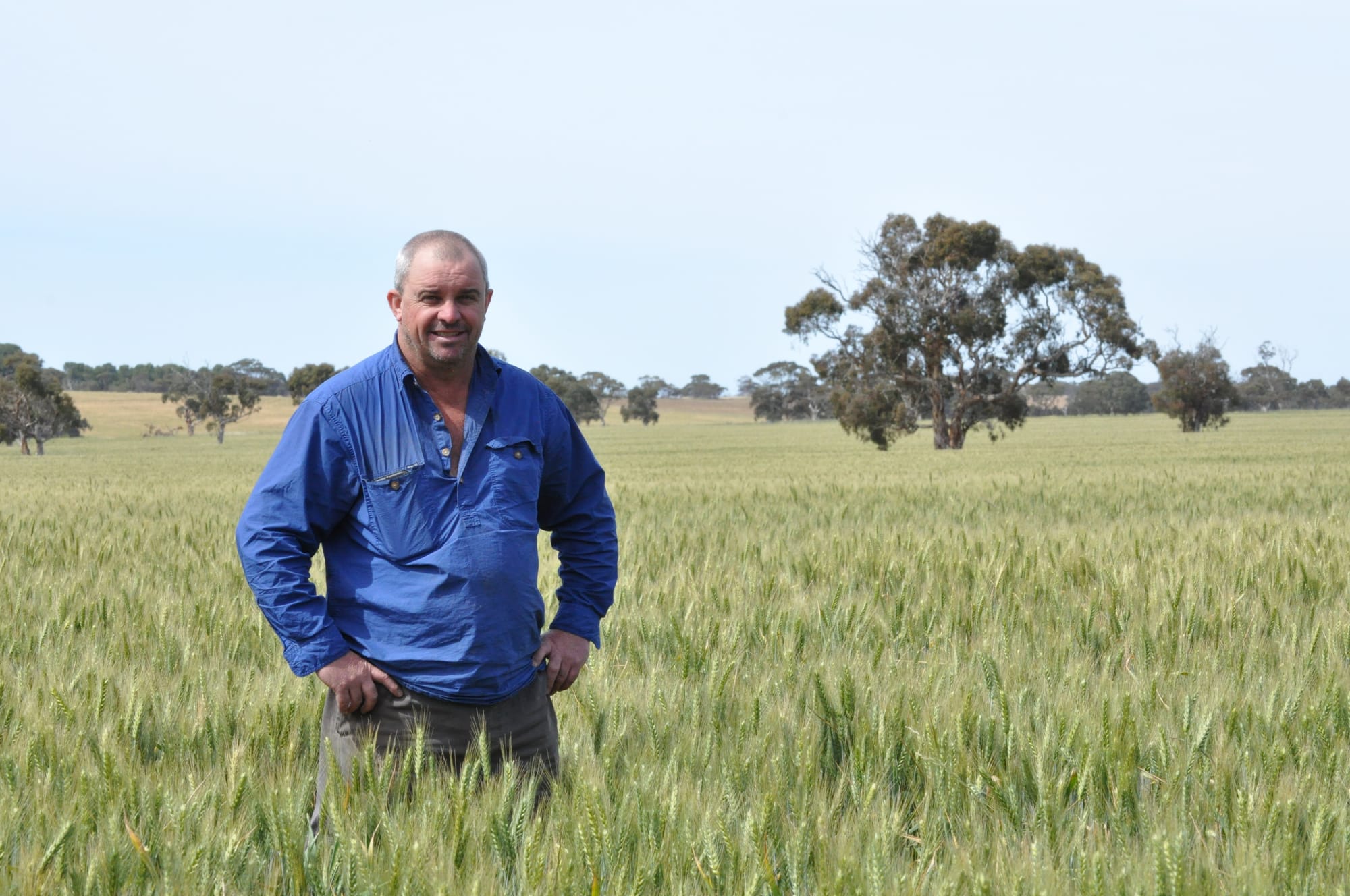 Safety plea as harvest begins