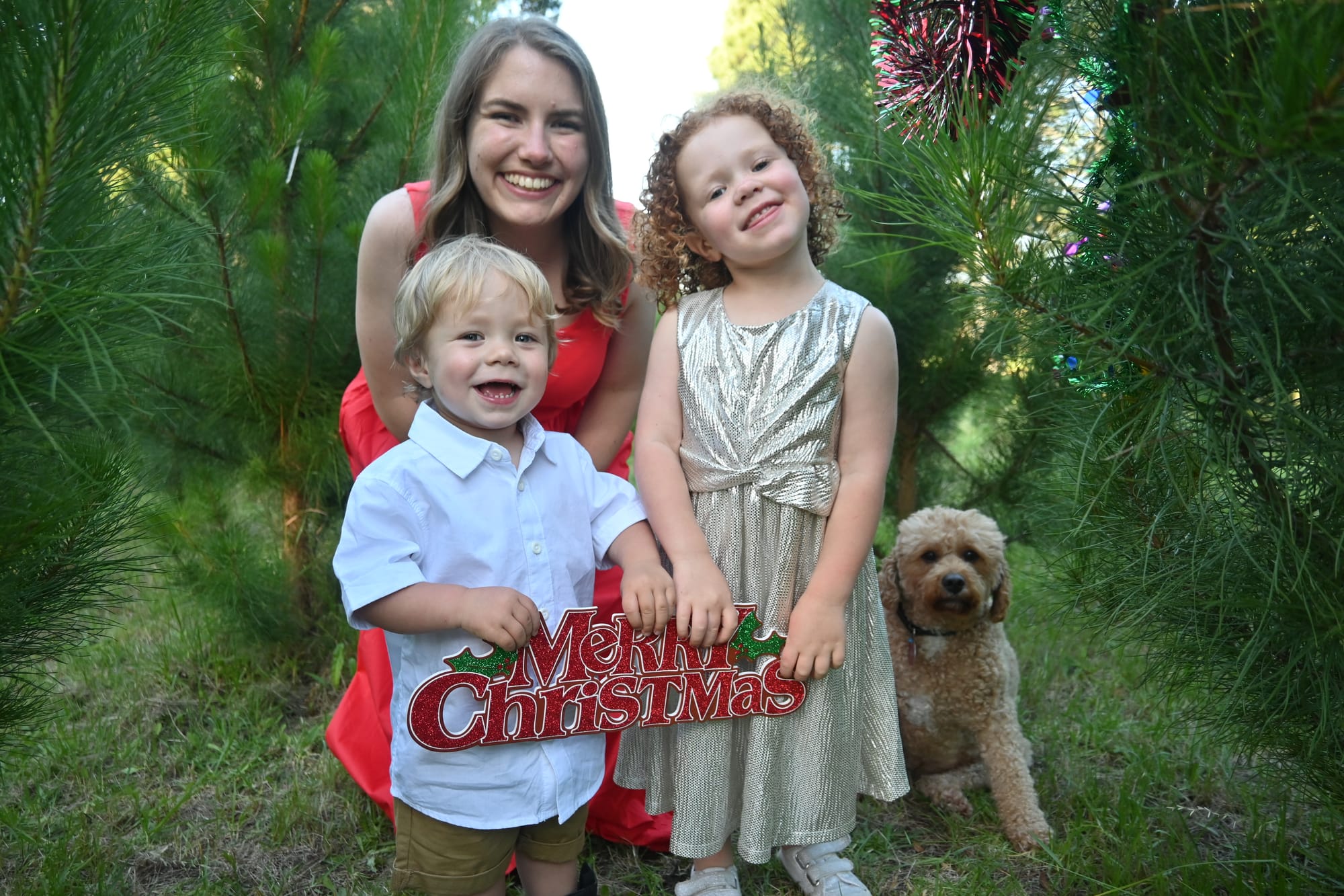 Christmas cheer at Compass