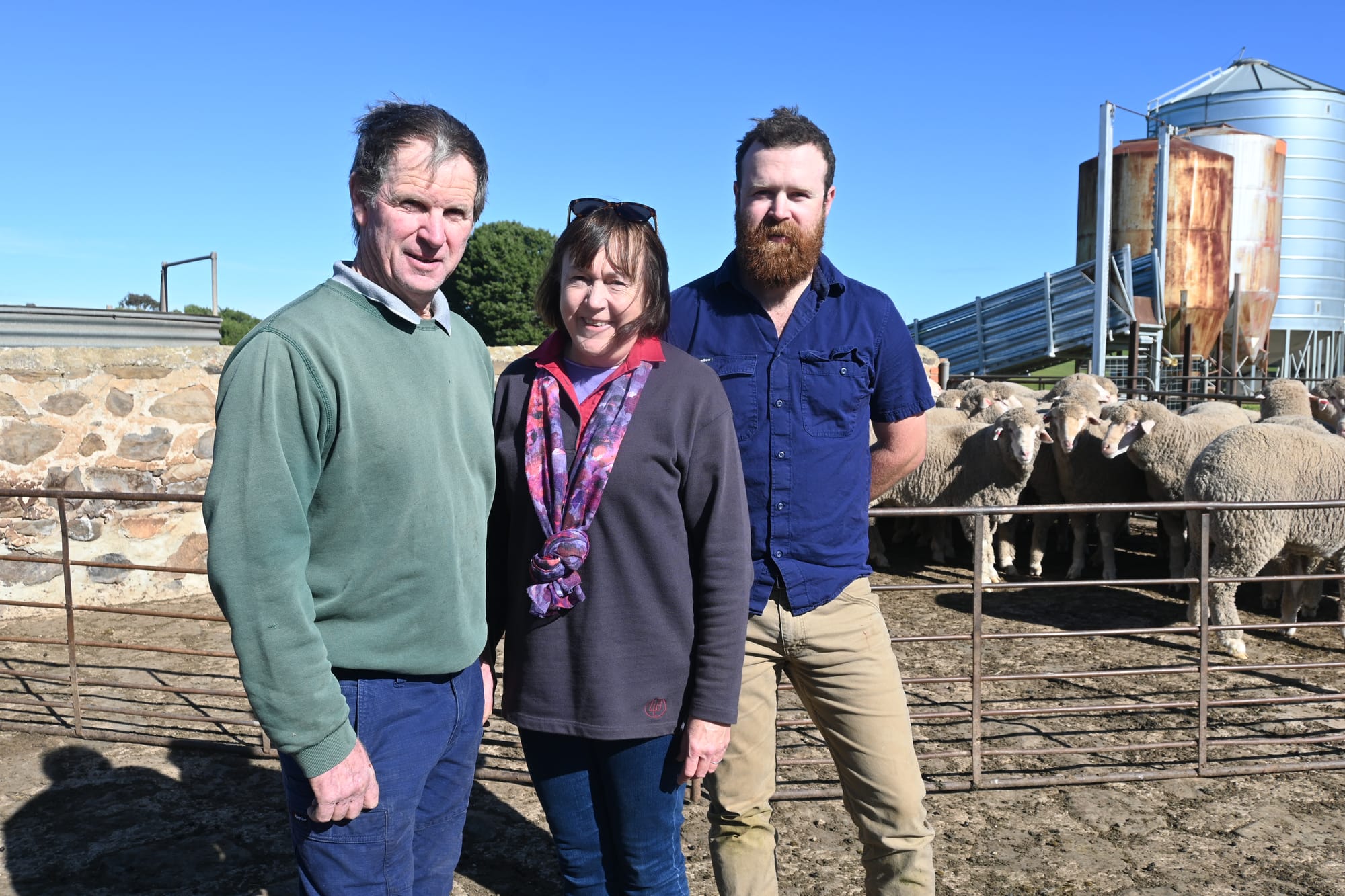 Popular Dalveen ram sale returns at Woodchester property