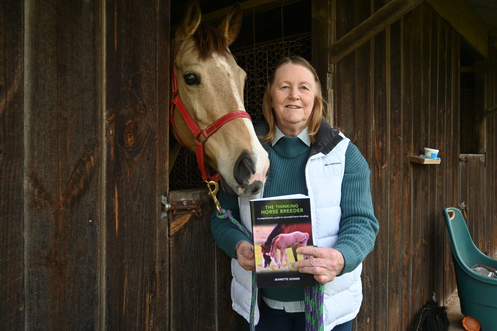 Strathalbyn author pens guide to horse breeding