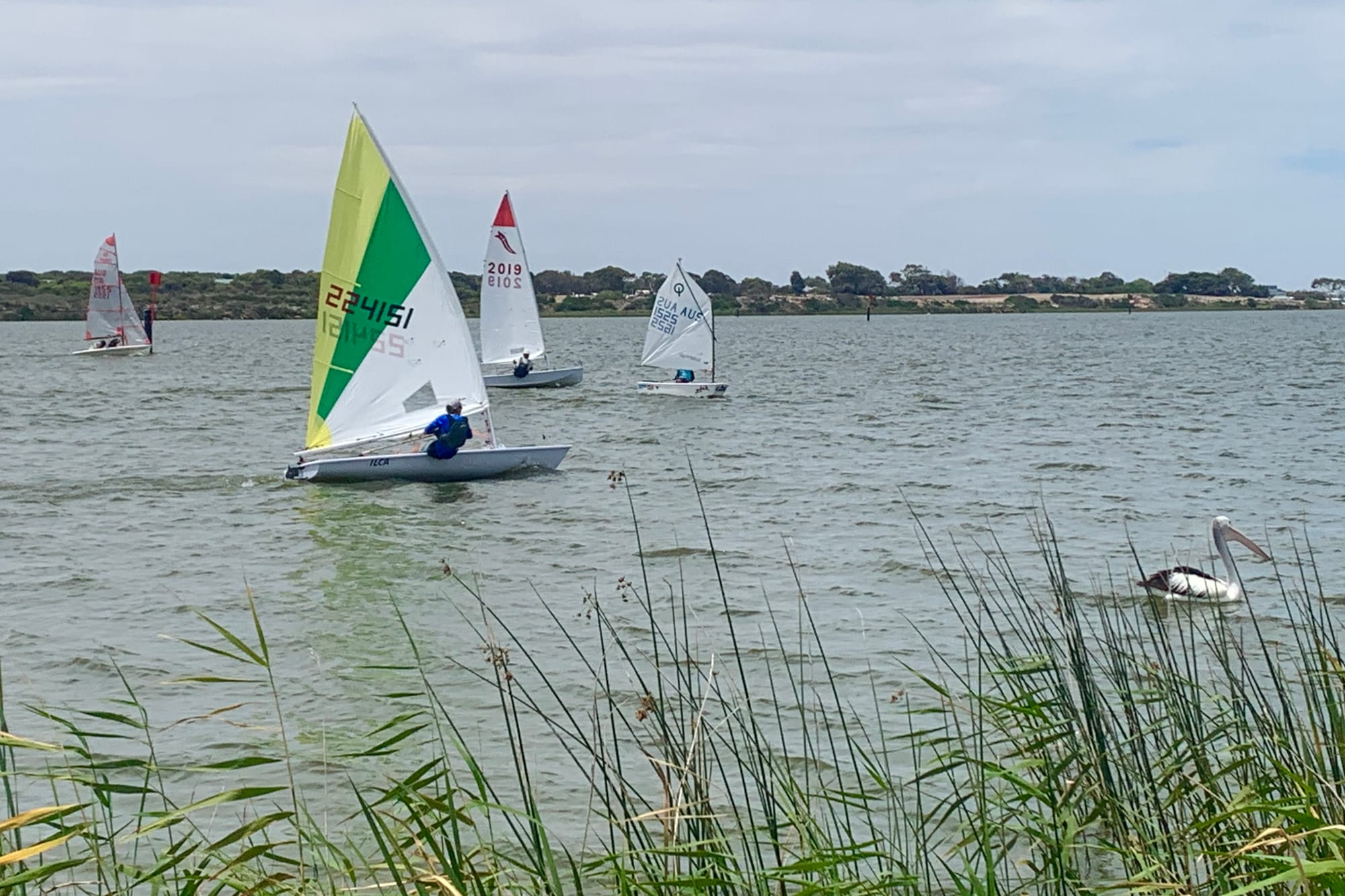 Goolwa dinghy racing kicks off for 2025