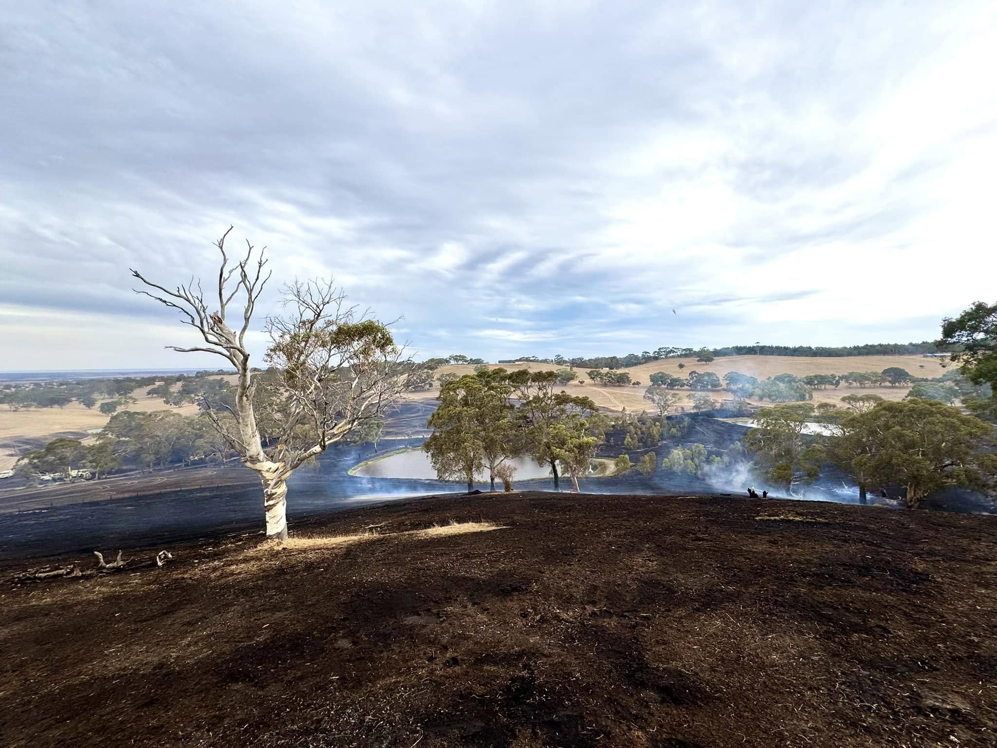 Paris Creek ravaged by fire
