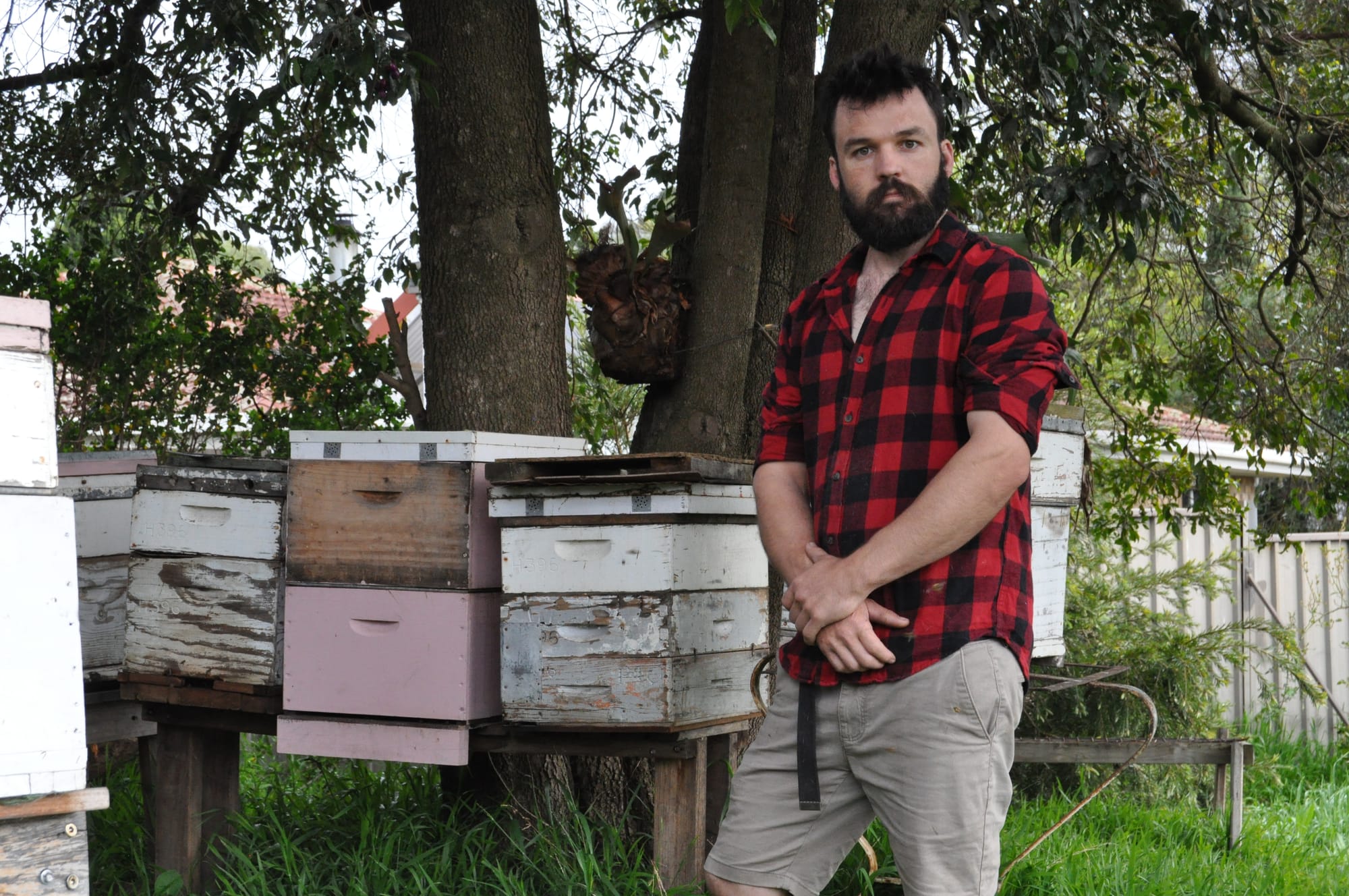 Mount Barker apiarist protecting local bees