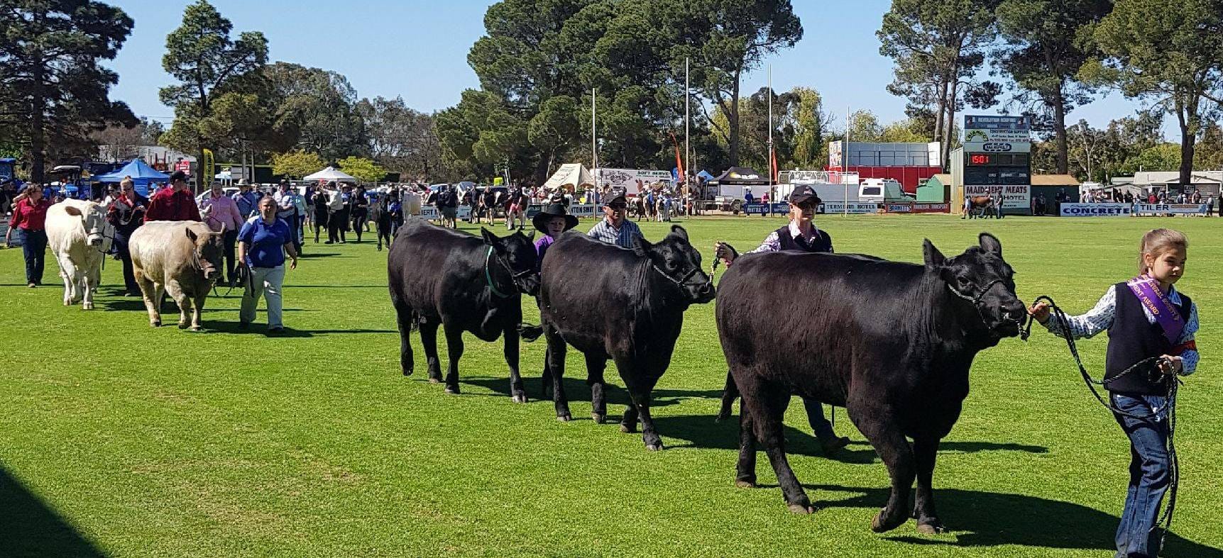 FINAL COUNTDOWN: Strathalbyn Show excitement heats up