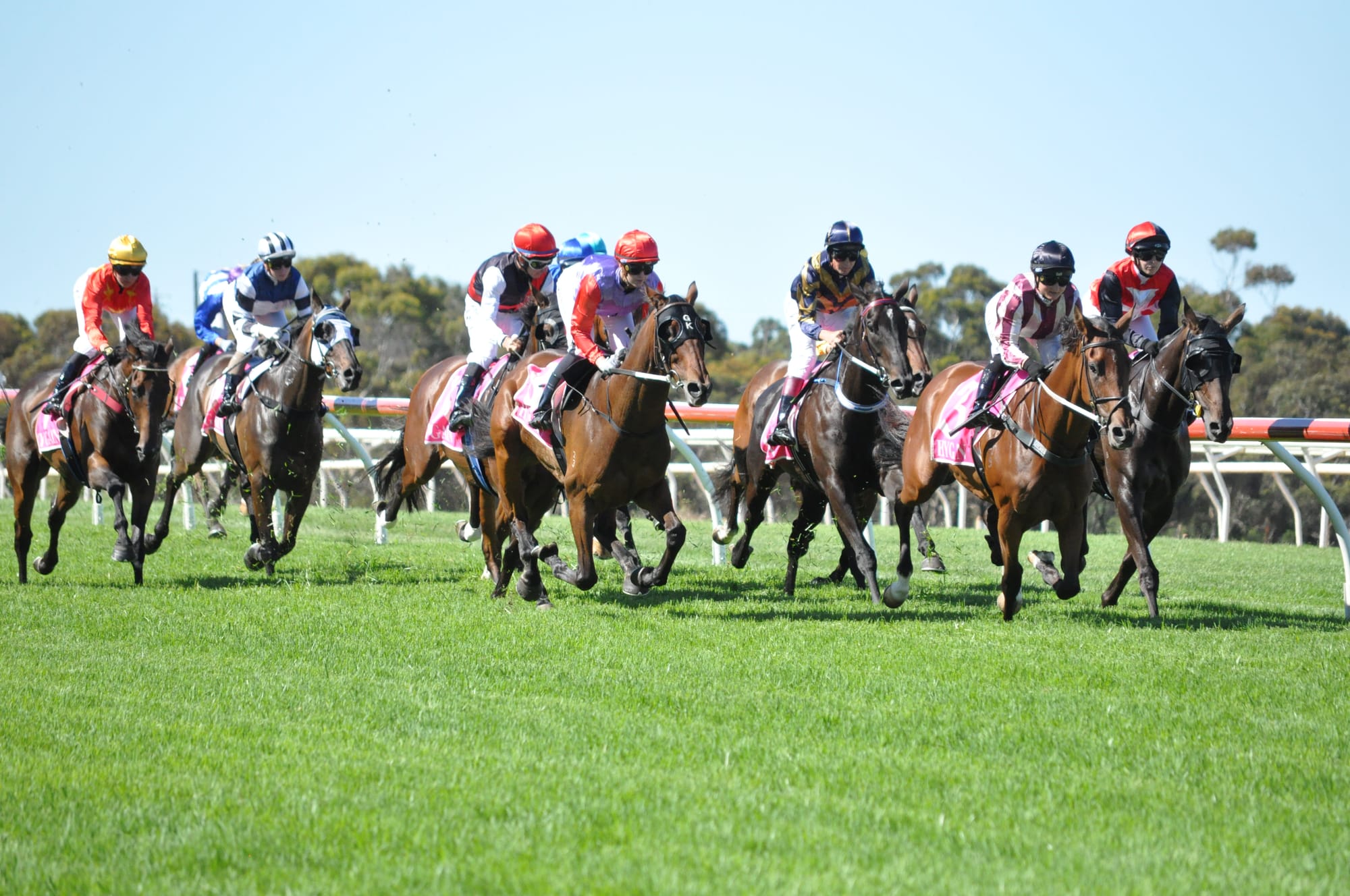 Strathalbyn Cup makes successful return