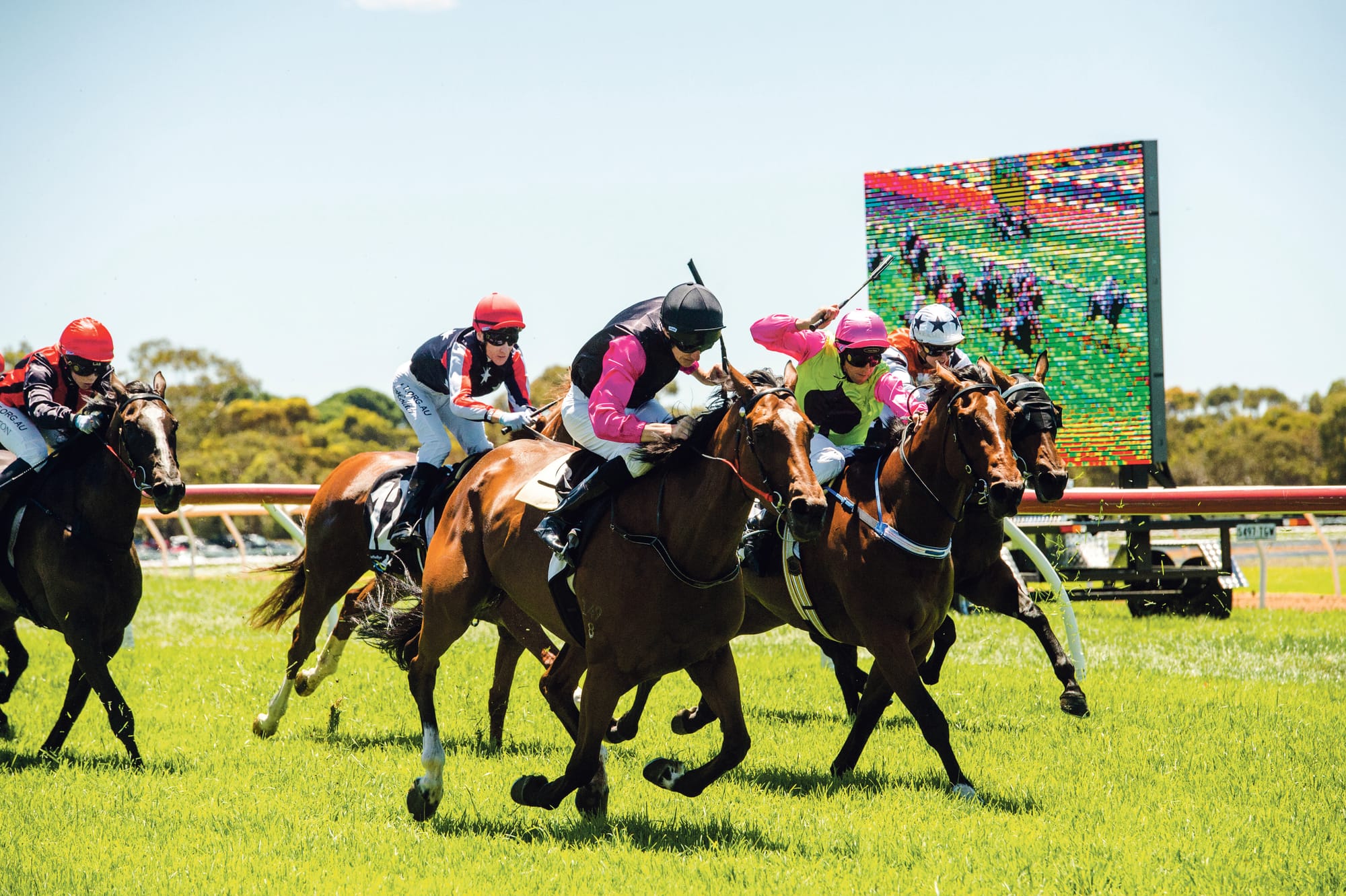 Race fall leads to new date for Strathalbyn Cup