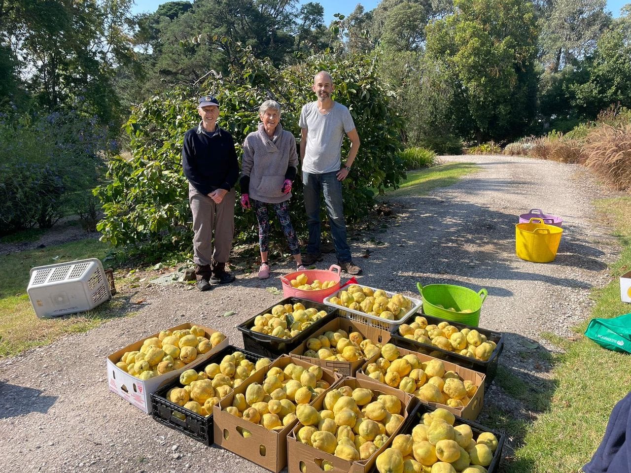 Fruit sharing initiative extends to local region