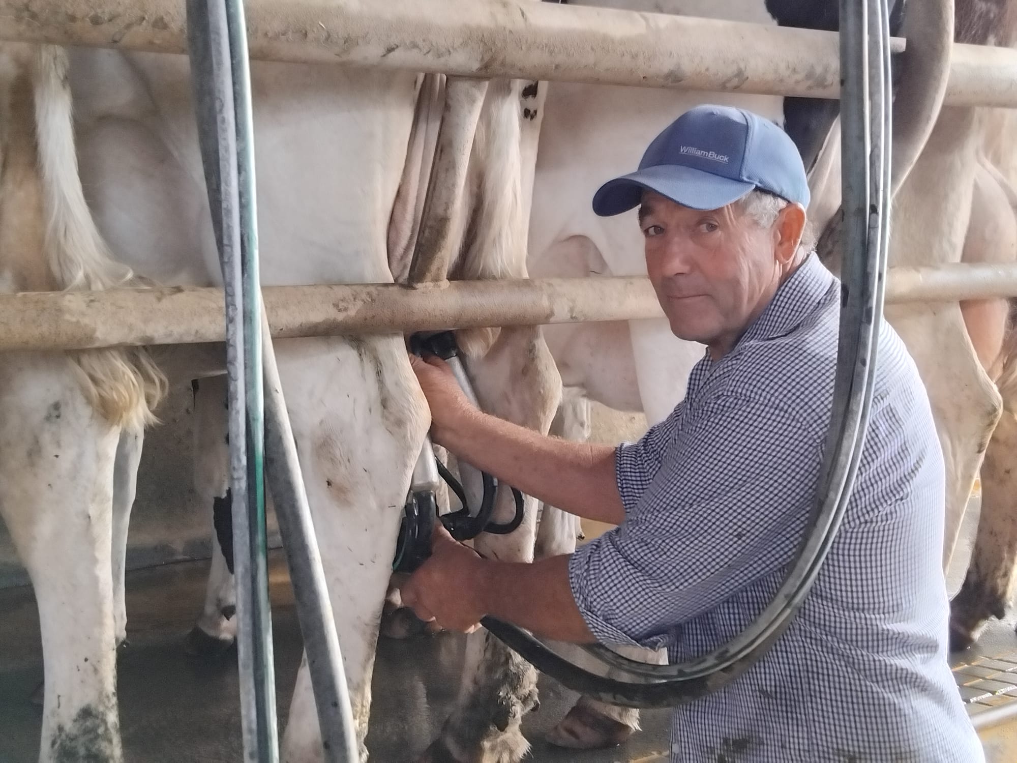 Beston Global Food Company collapse hits home