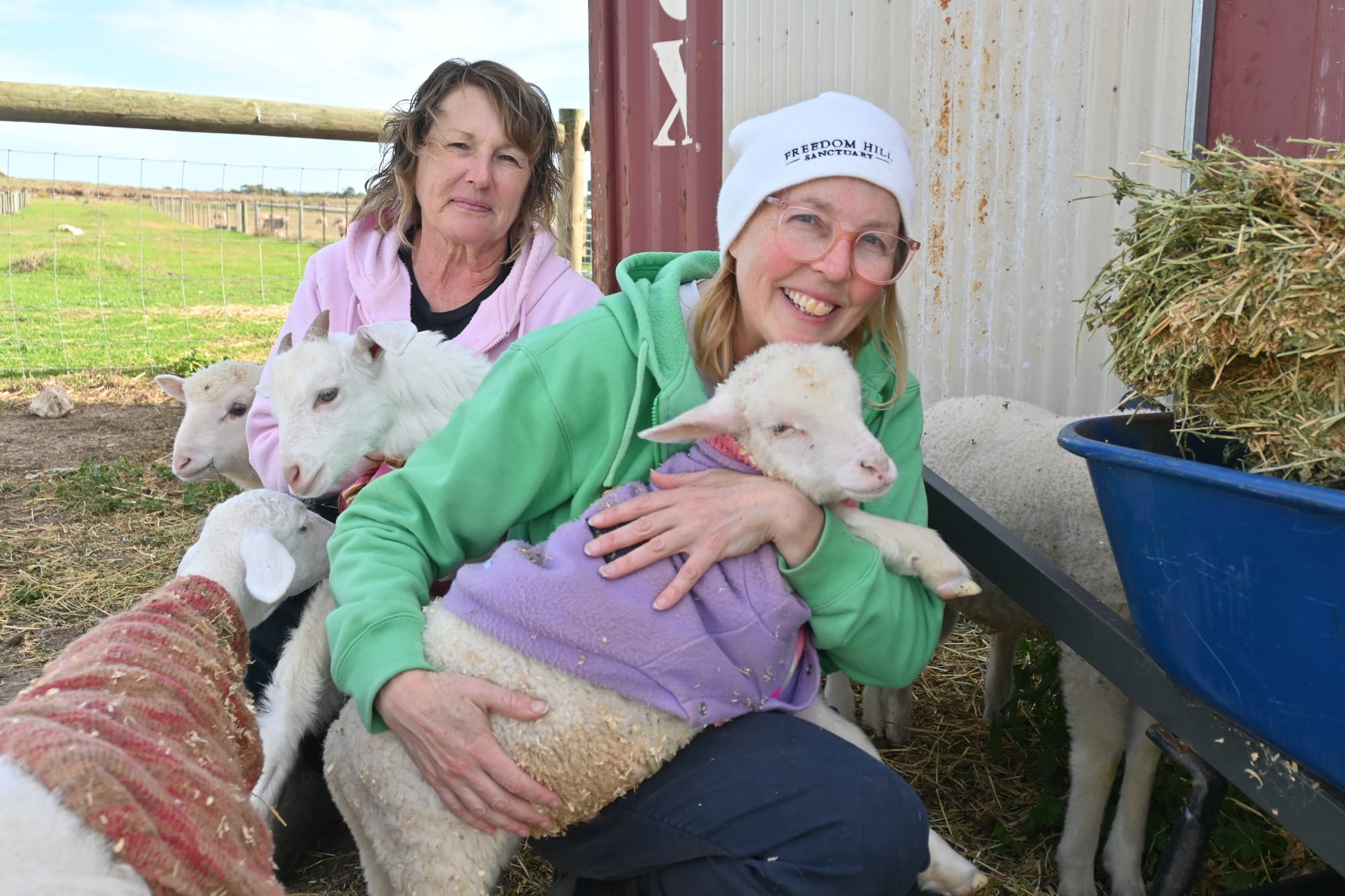 Safe haven created for farm animals
