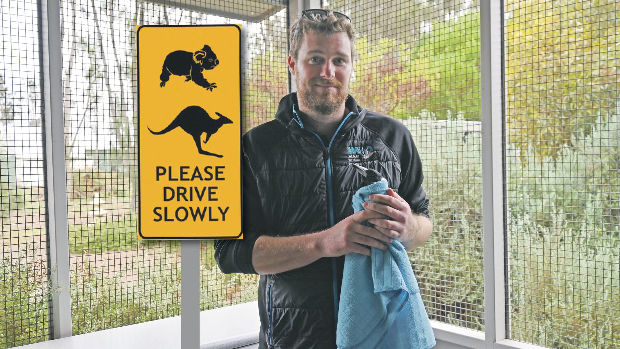 Goolwa wildlife’s centre winter plea to local motorists