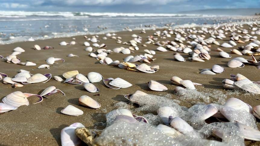Fee relief for fishers, but is it enough?