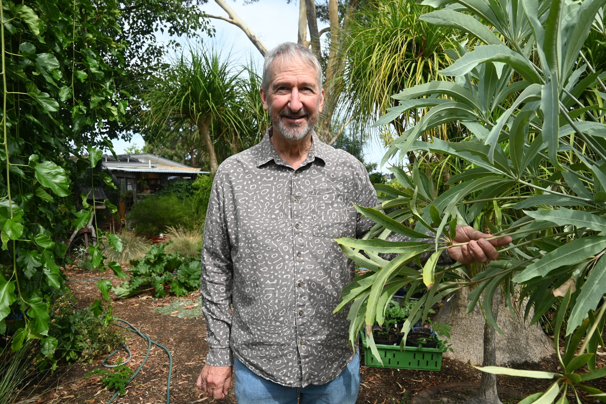 Sustainable garden connected to home