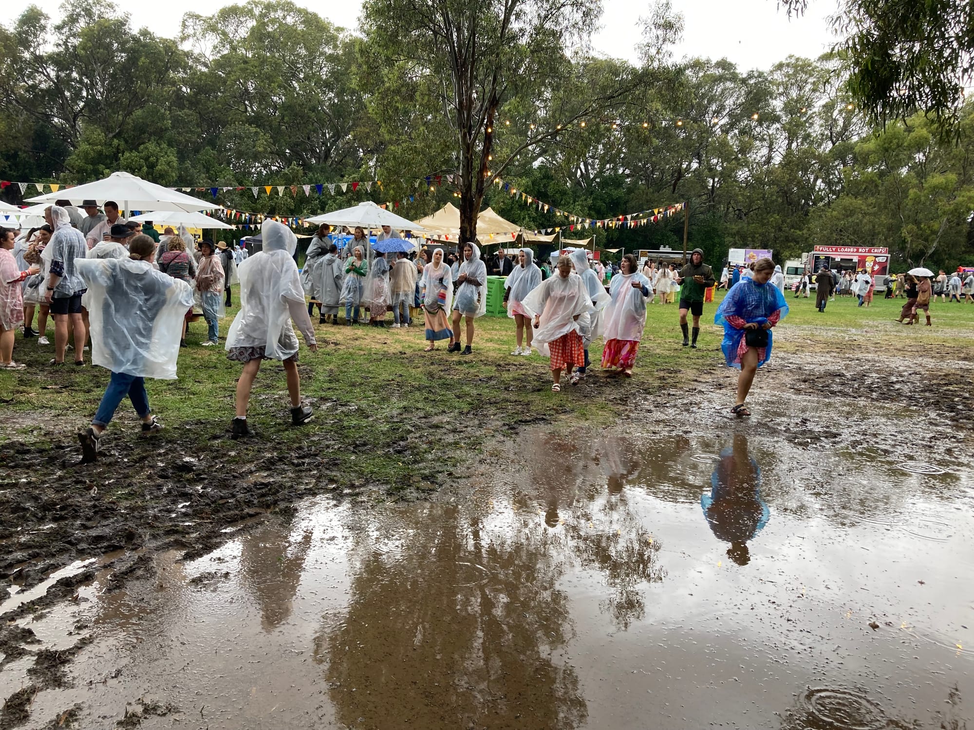 Langhorne Creek Handpicked Festival washed out