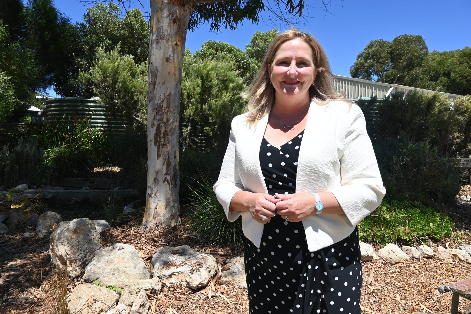 Sharkie in the lead, likely to be re-elected