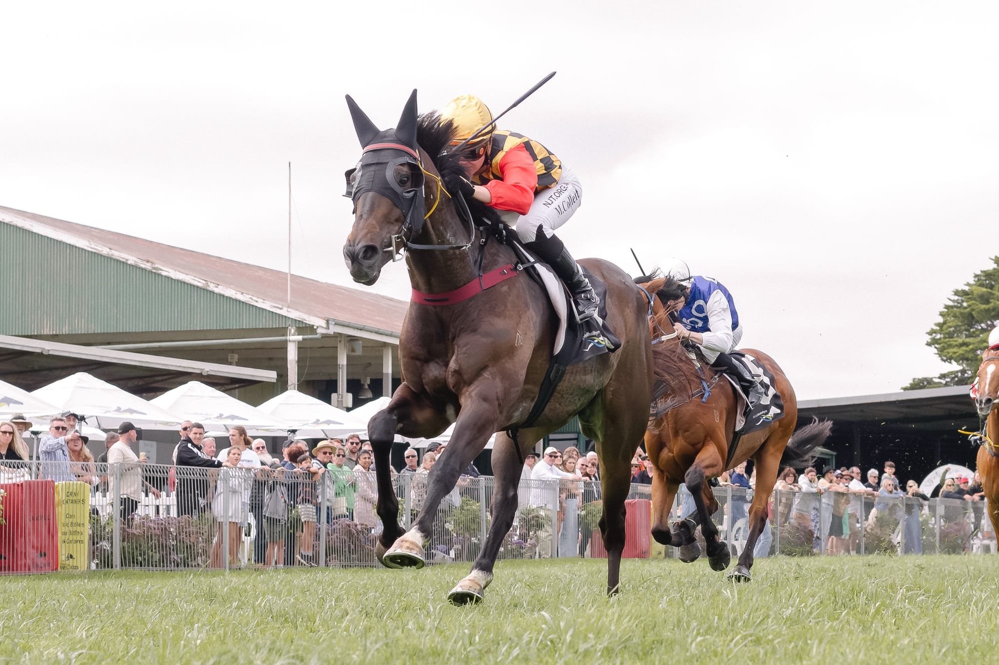 Beach Day racing at Strathalbyn