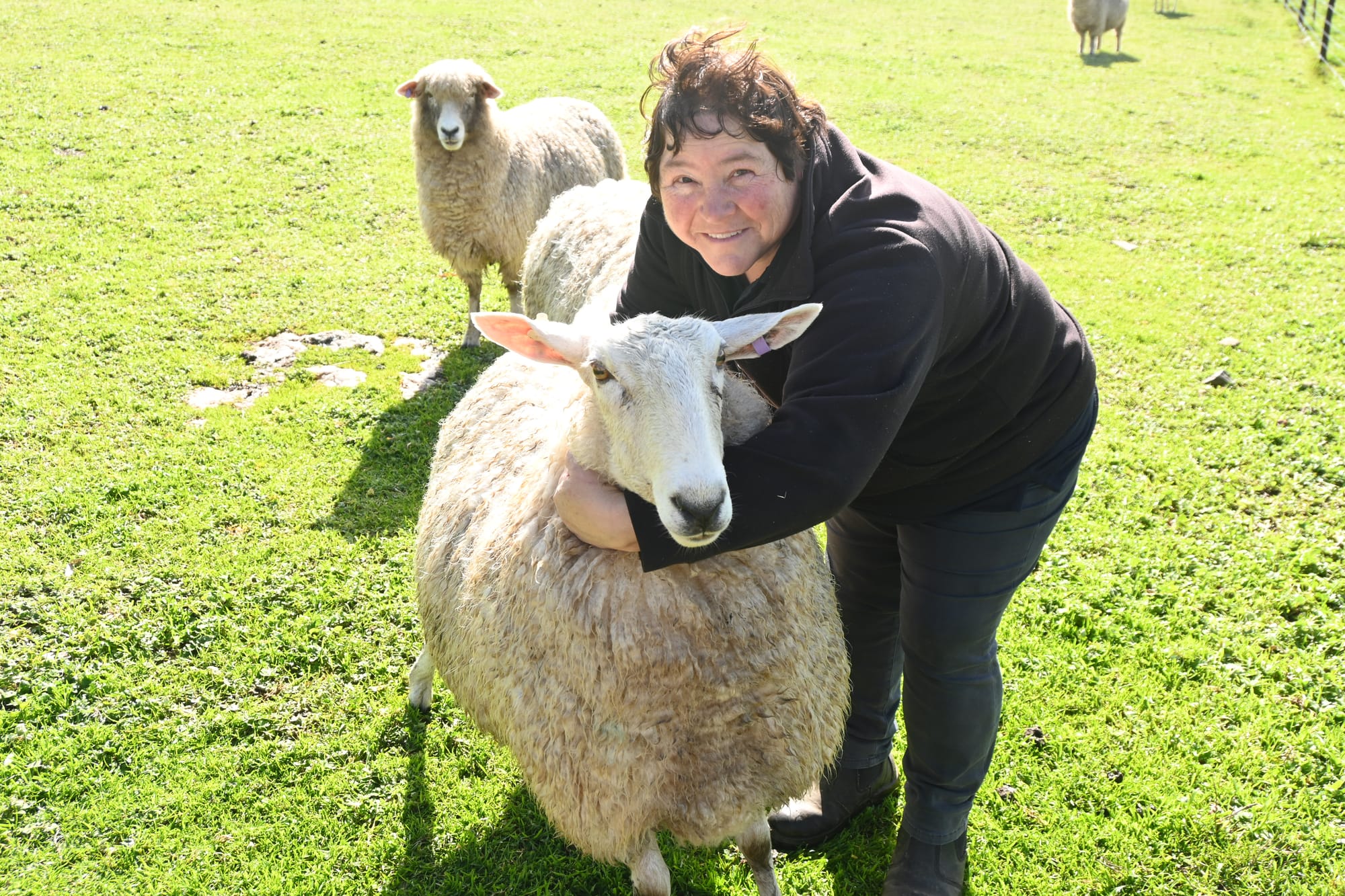 COUNTING SHEEP: Maccy farmer keeping it in the family