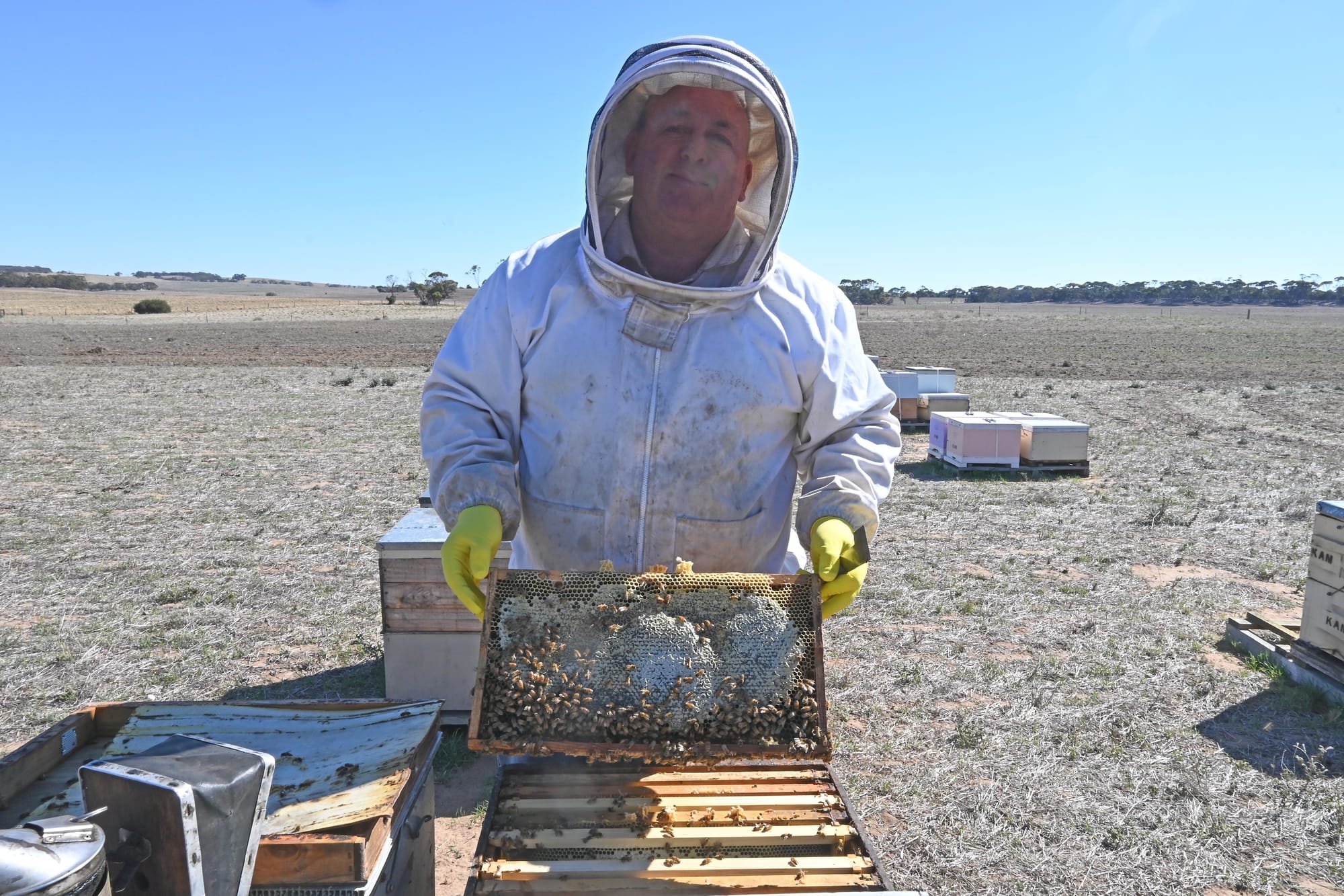 UN-BEE-LIEVABLE EXPERIENCE: Honey season the ‘bee’s knees’