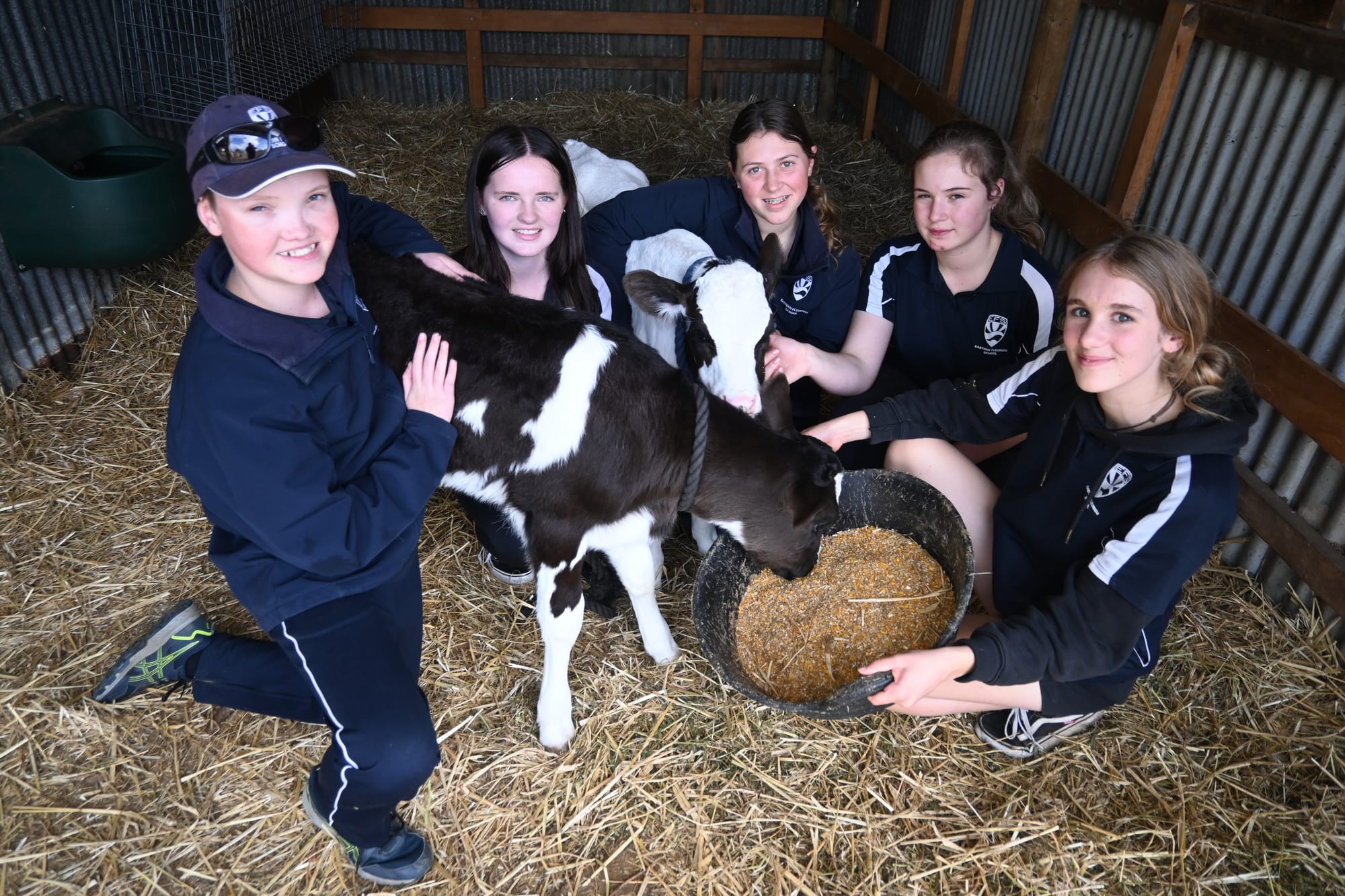 An amoozing agricultural school project