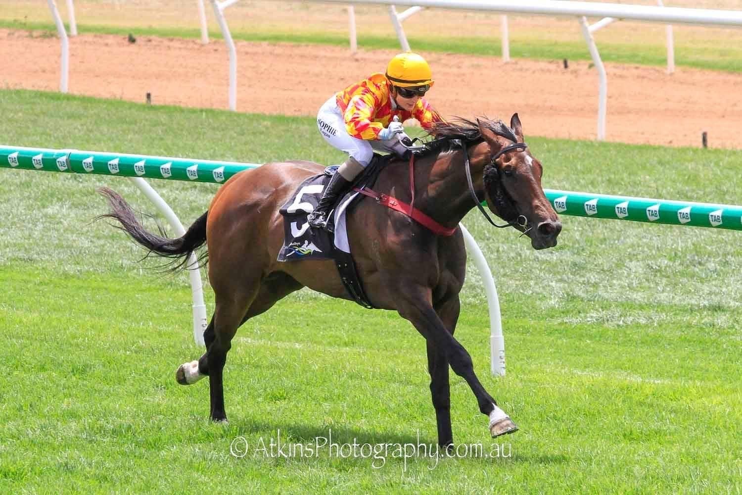 Families enjoy a day at Strathalbyn races