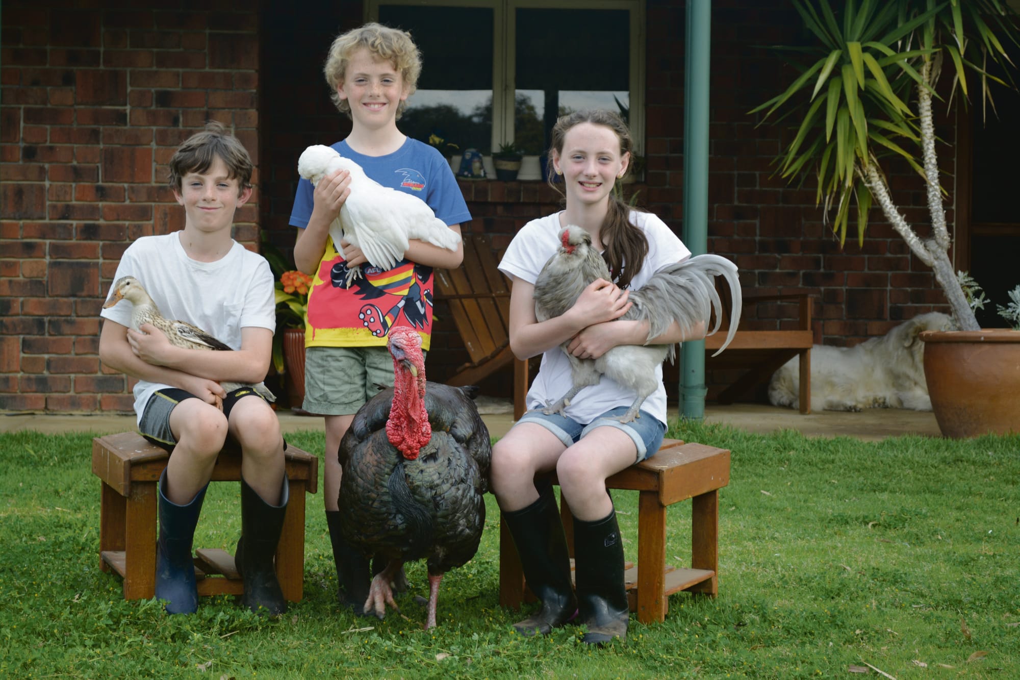 Plenty to crow about at Adelaide Show