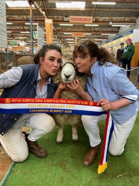 Clean sweep for Strathalbyn stud owner at Royal Adelaide Show