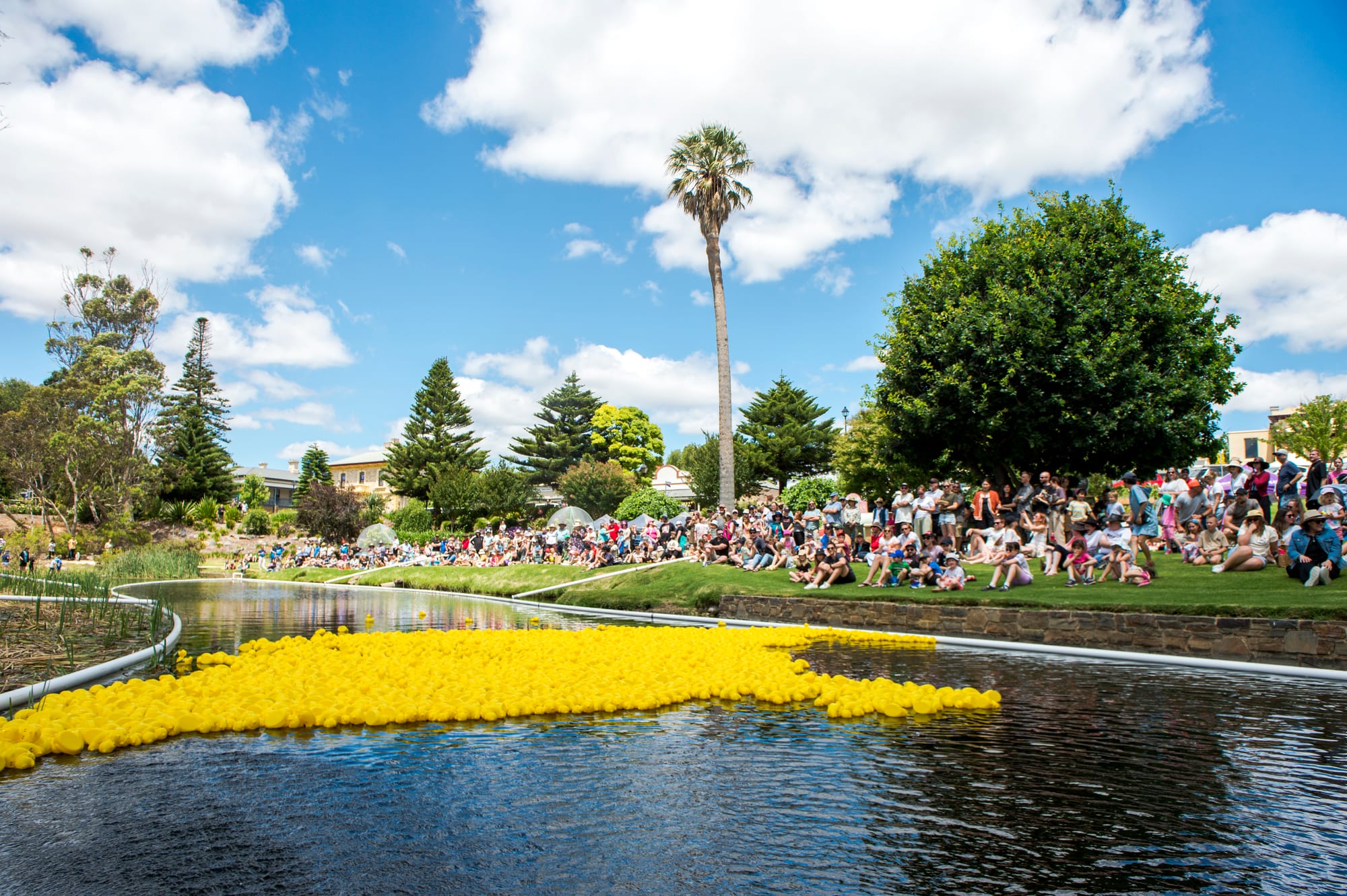 Duck Race deemed ‘best one ever’