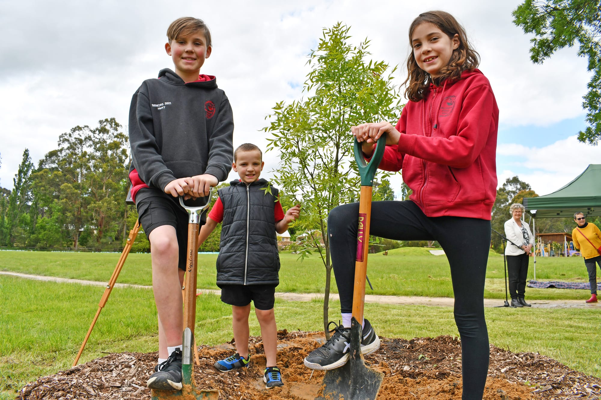 ROYAL TREE-TMENT: Macclesfield planting fit for a Queen