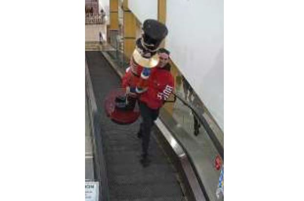 Nutcracker returns to Mount Barker