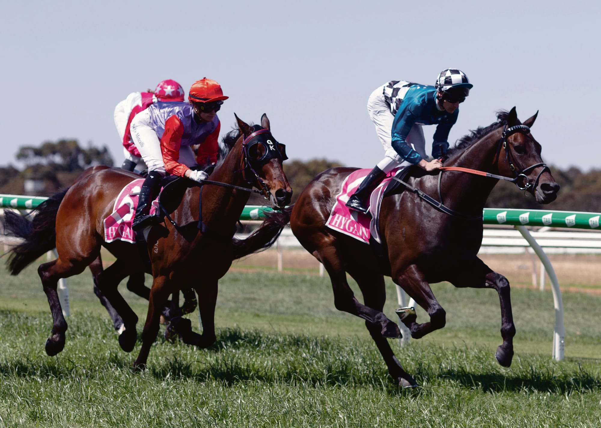 Huge crowd hits Strathalbyn racecourse for Vignerons Day