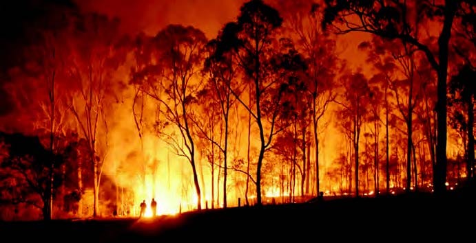 SA Labor proposes electronic monitoring of known firebugs