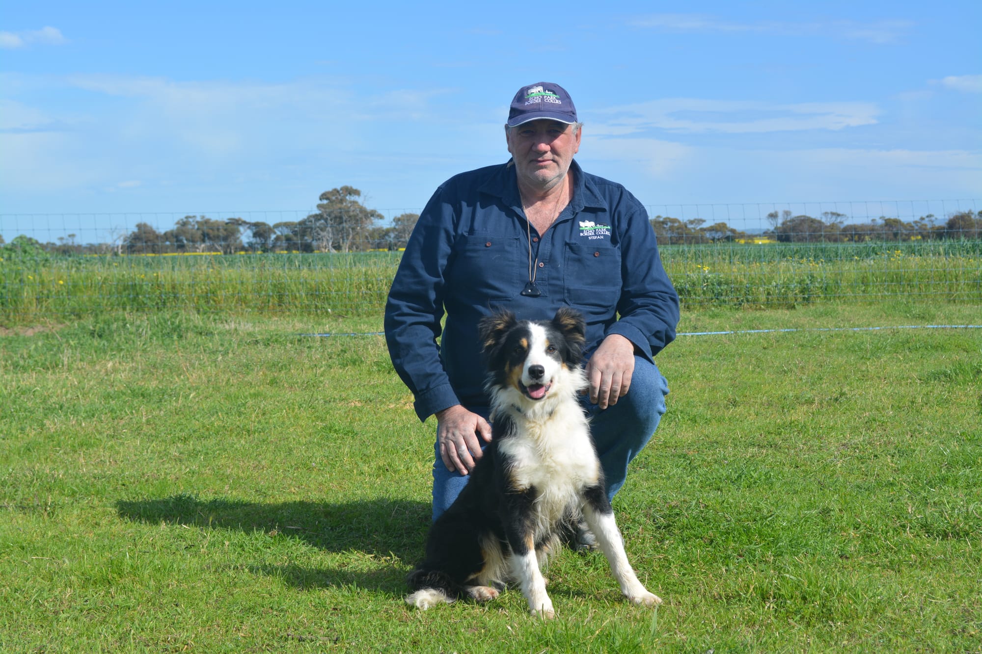 Su-paw-star pair to represent SA at sheepdog championship