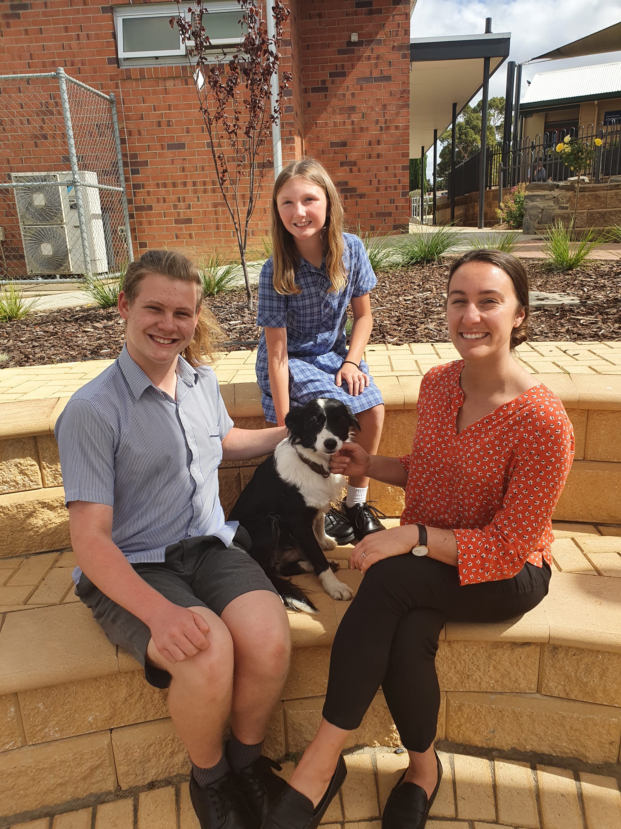 Tyndale therapy dog, Fly, supporting students in new paw-sitive role