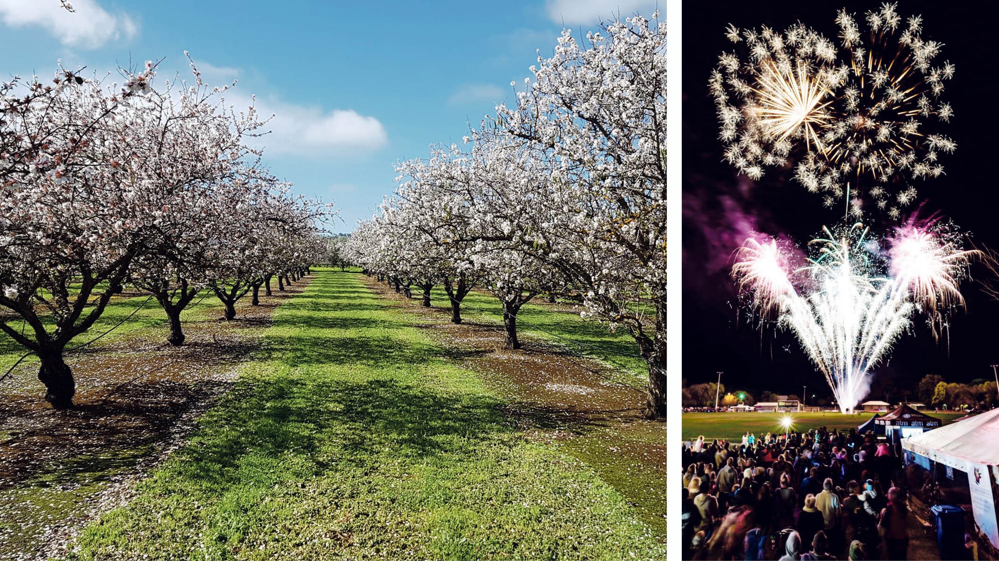 Upcoming Willunga Almond Blossom Festival to offer a cracking day out